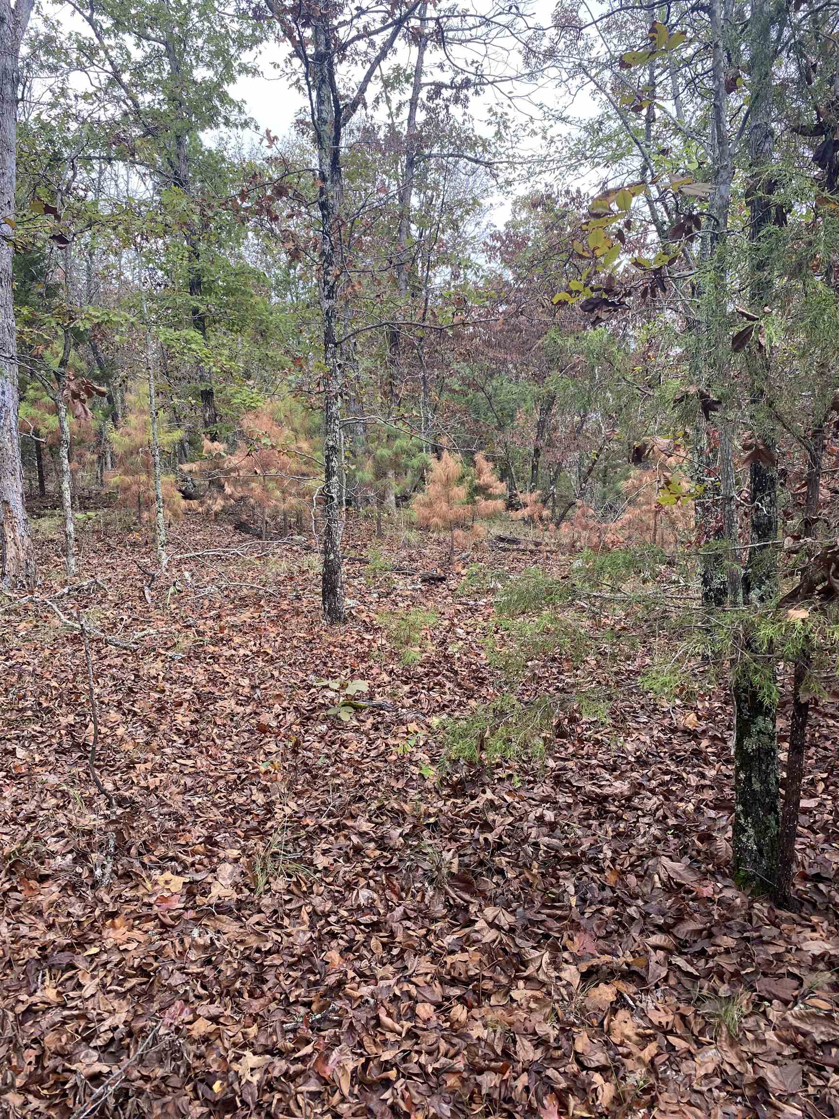 150 Lofton Road Property Photo 4