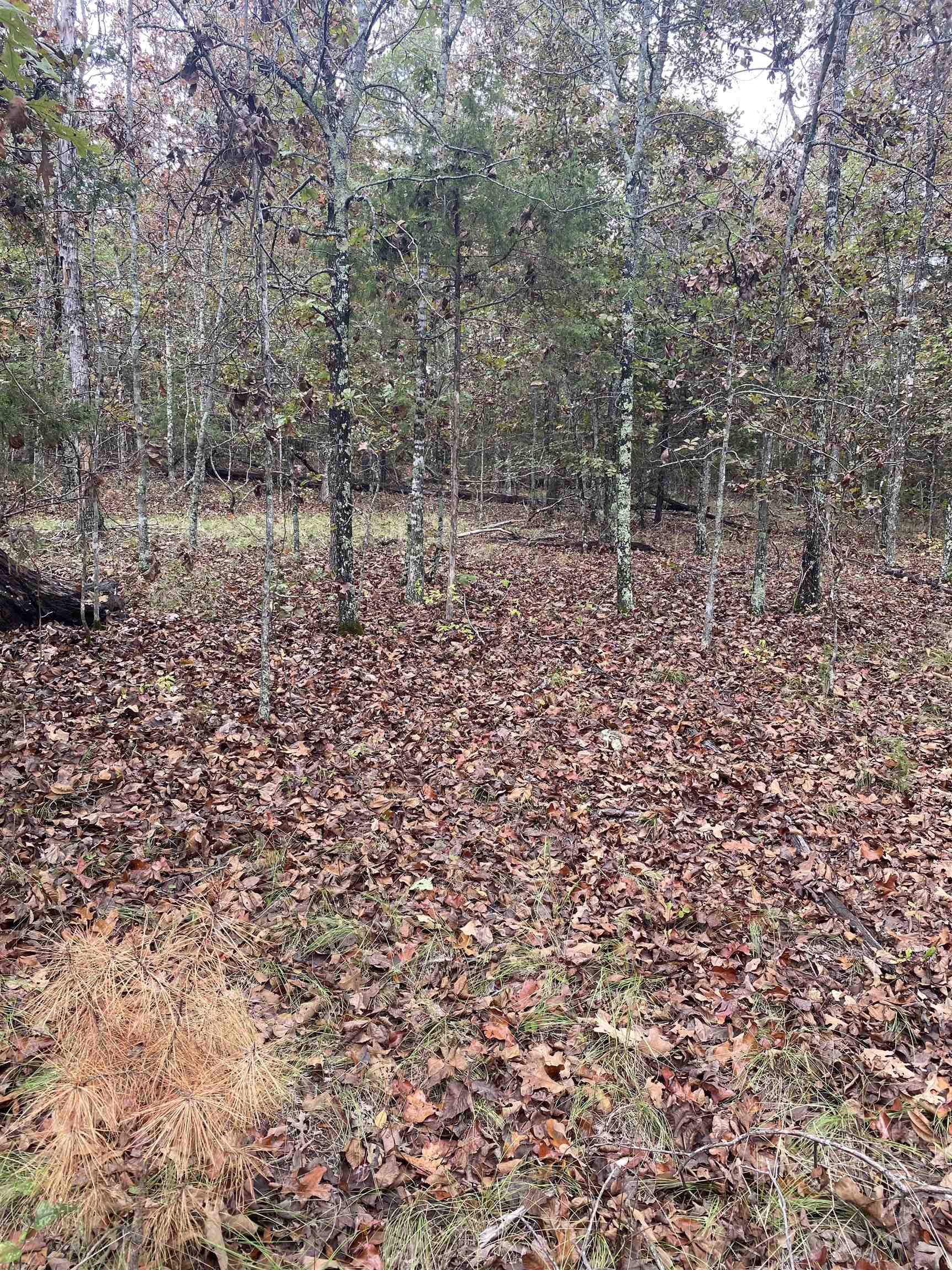 150 Lofton Road Property Photo 6