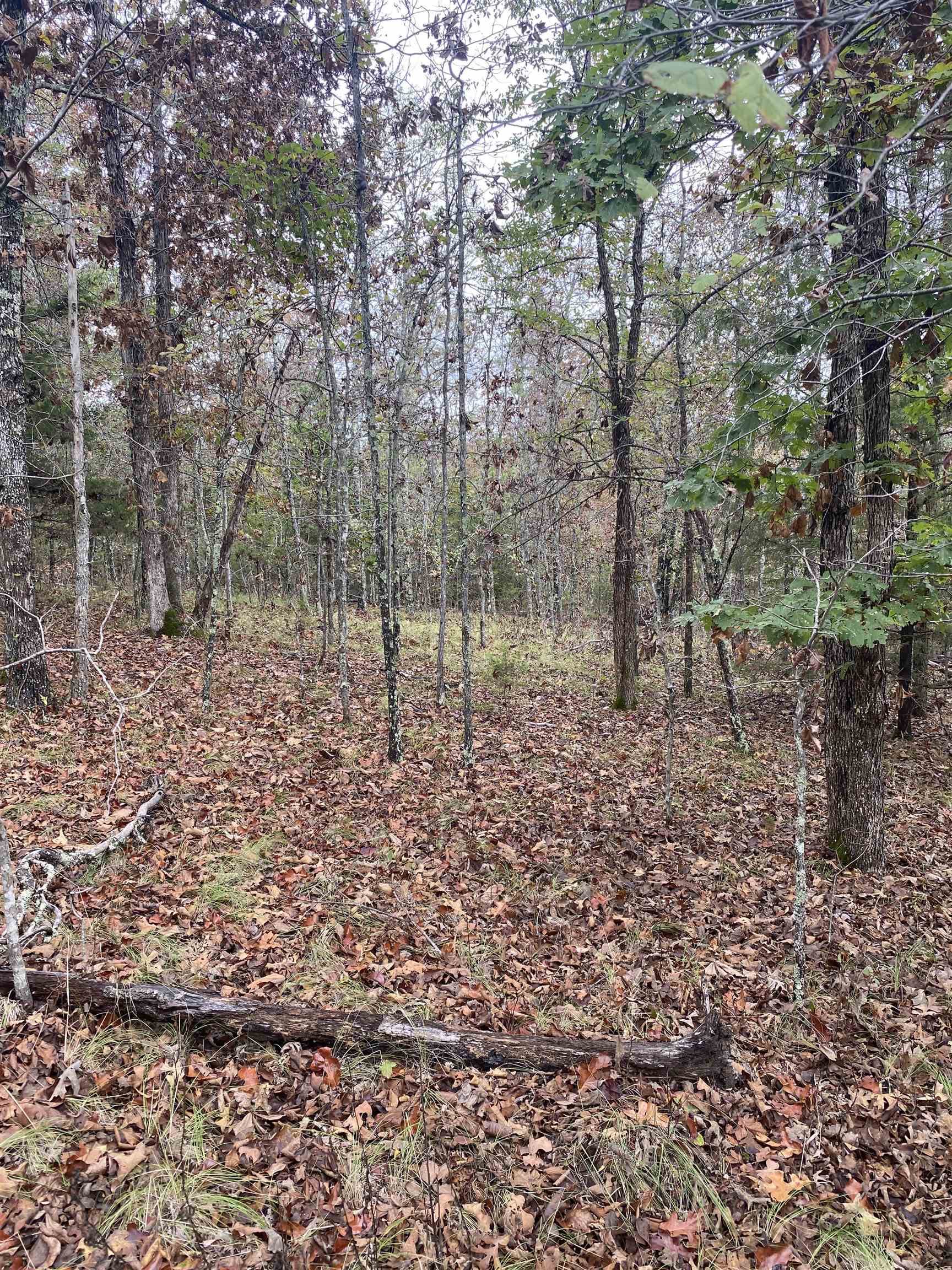 150 Lofton Road Property Photo 7
