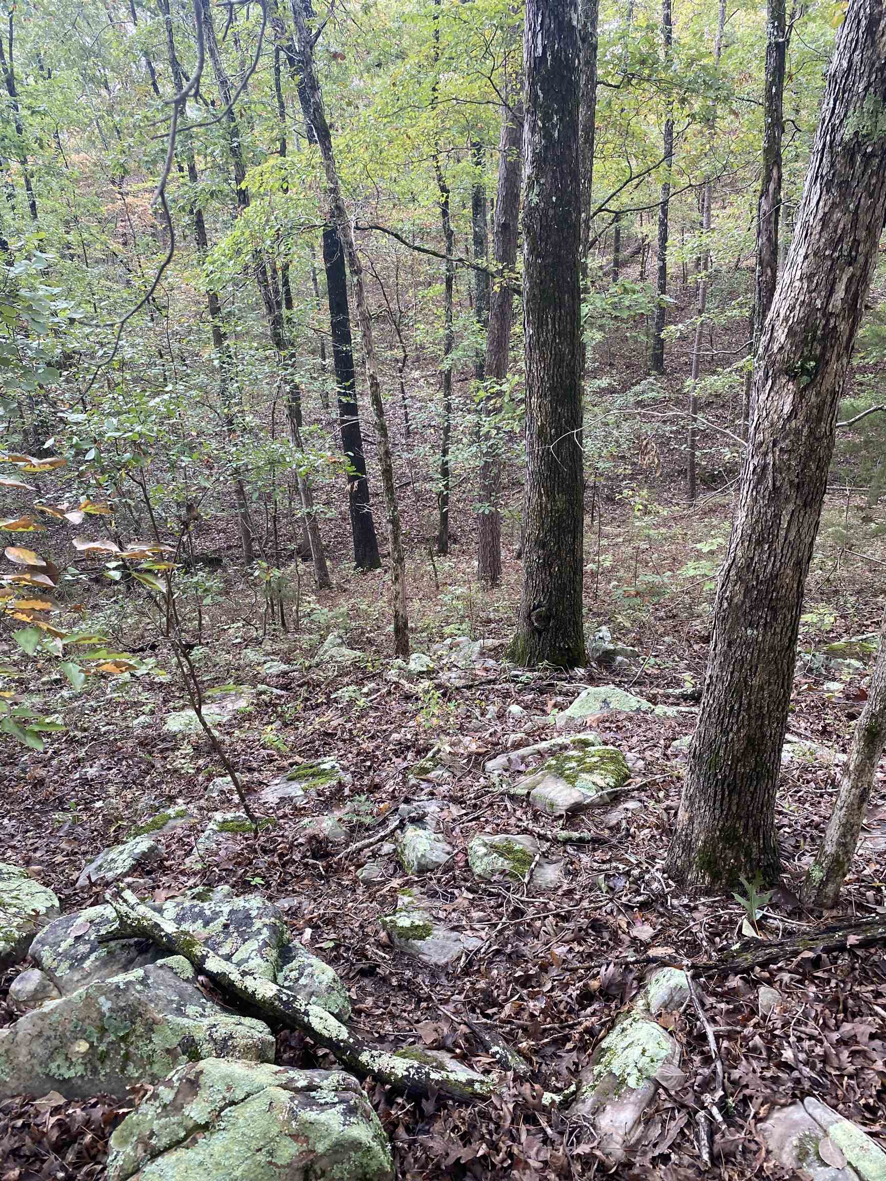 150 Lofton Road Property Photo 8