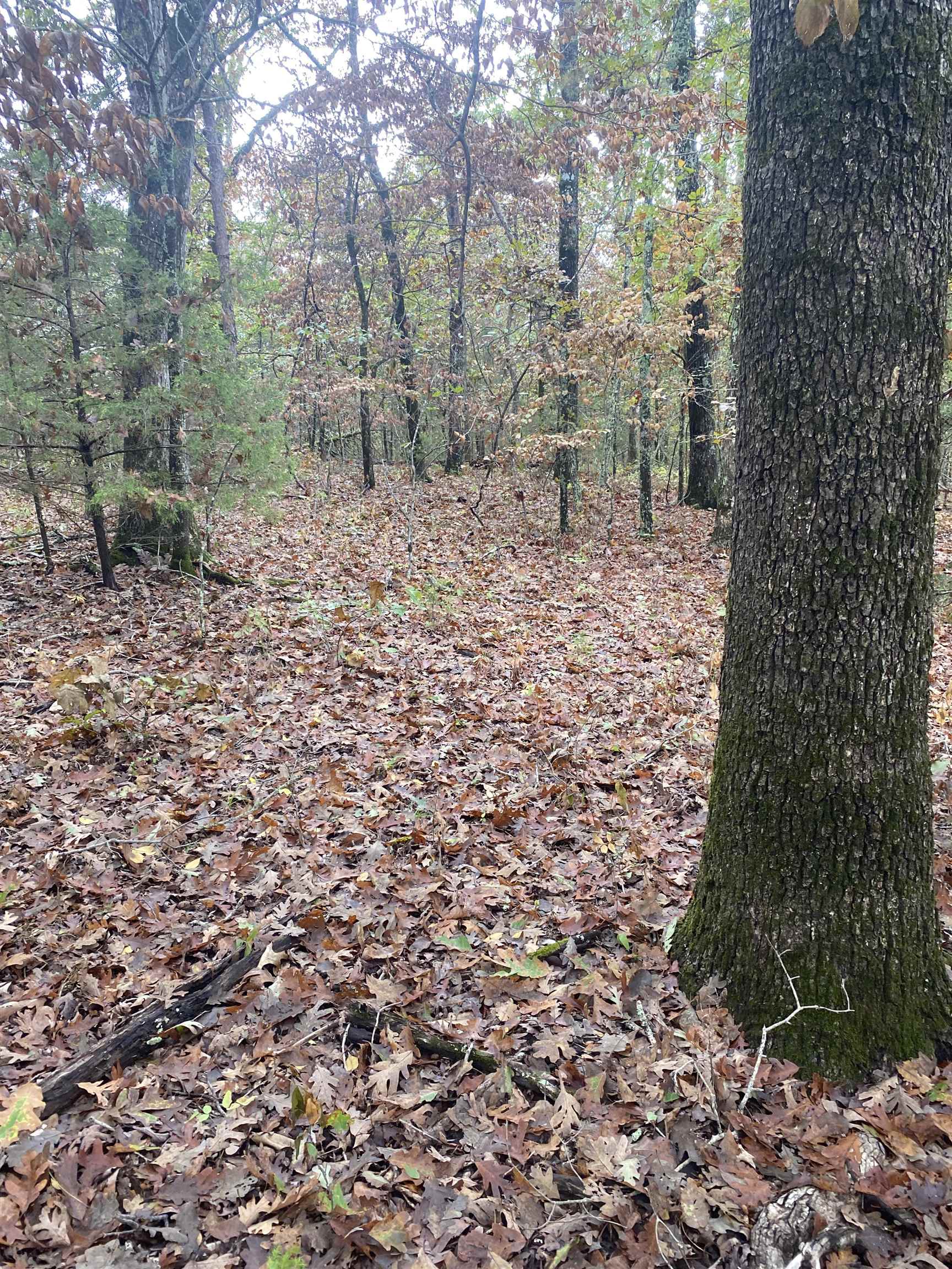 150 Lofton Road Property Photo 10