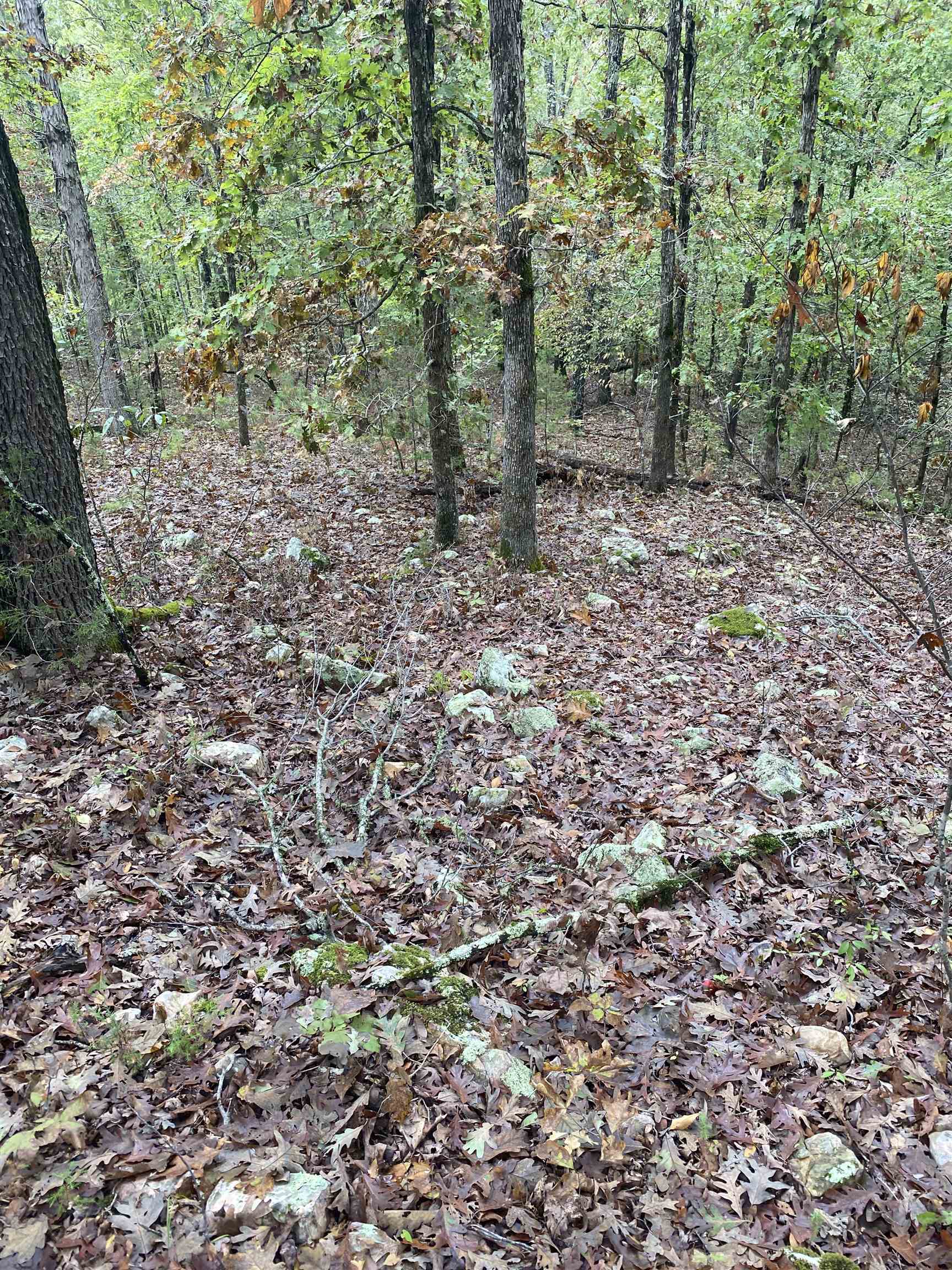 150 Lofton Road Property Photo 11
