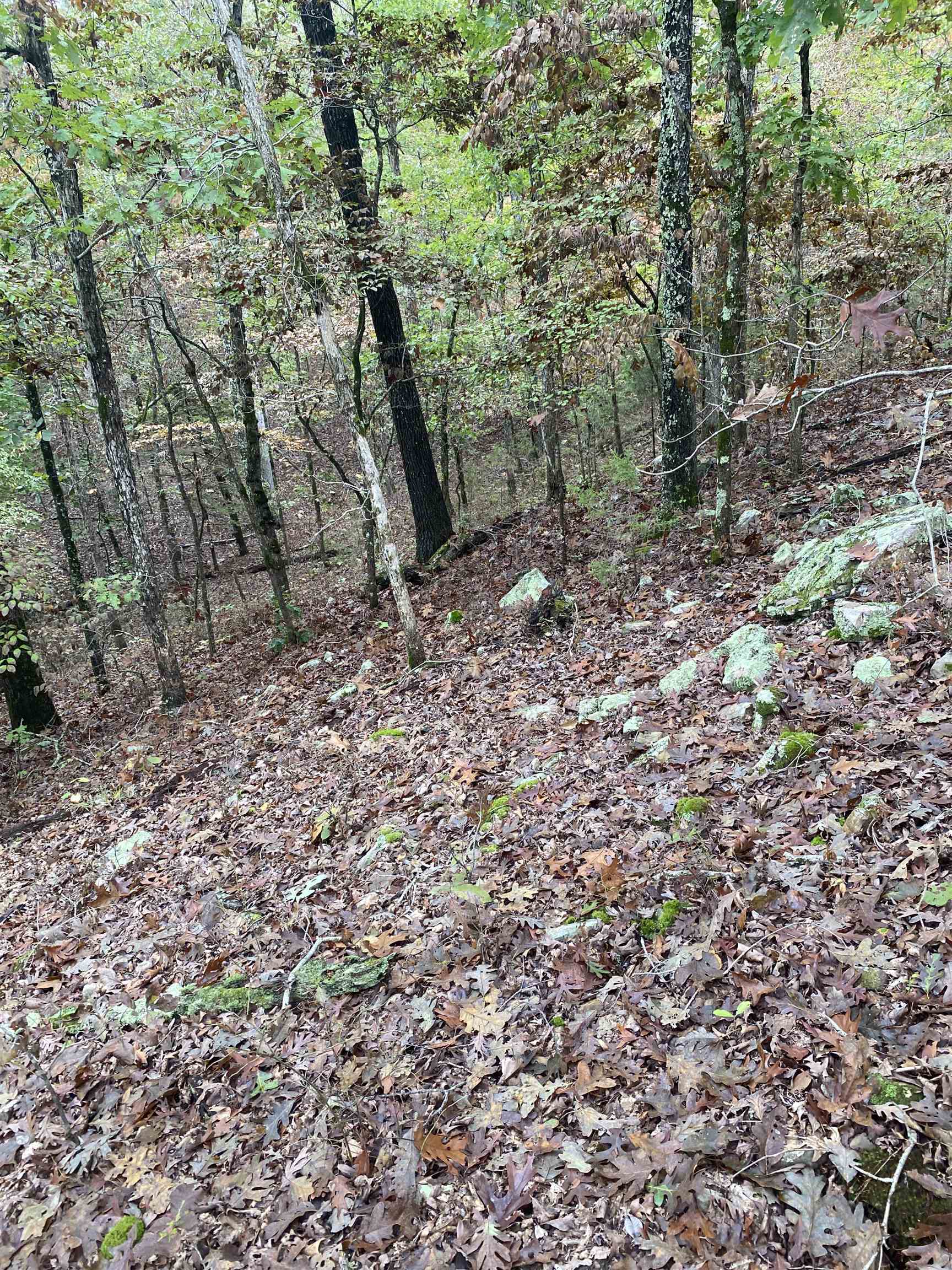150 Lofton Road Property Photo 12
