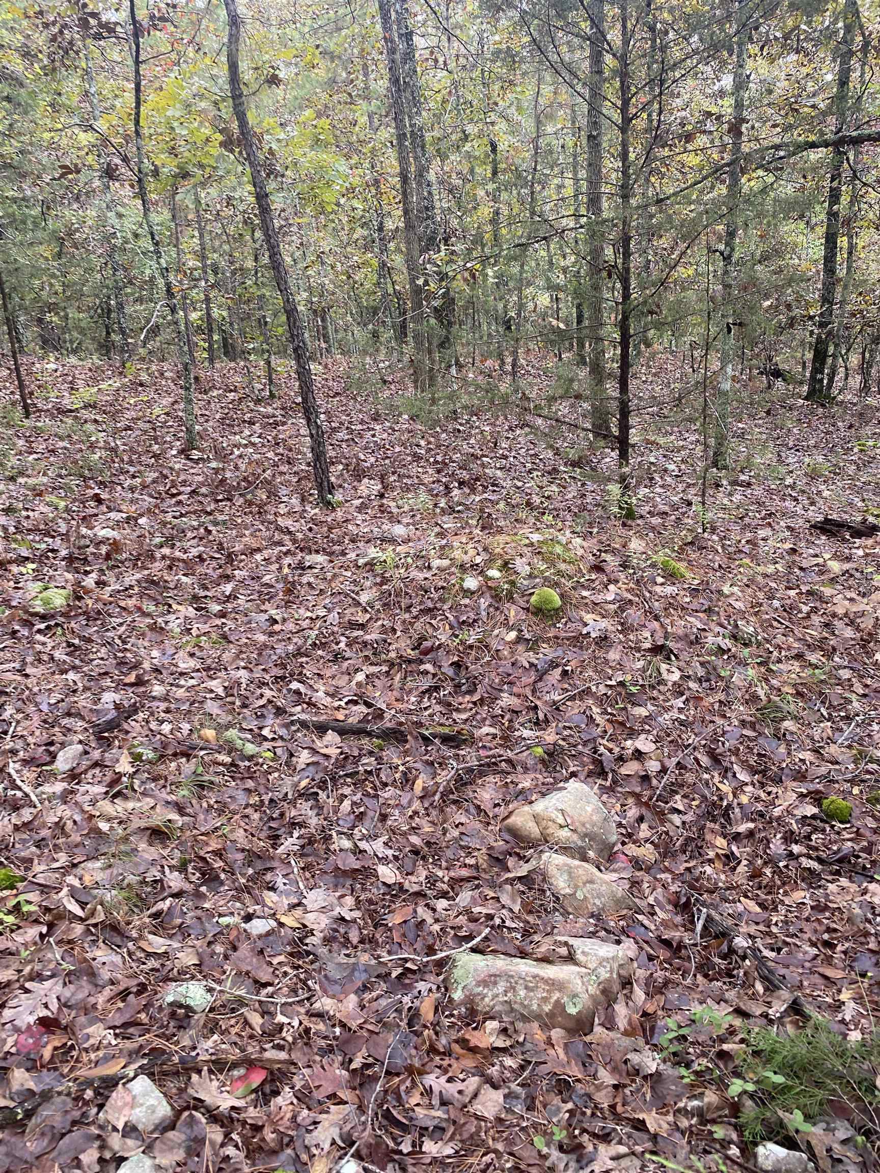 150 Lofton Road Property Photo 13
