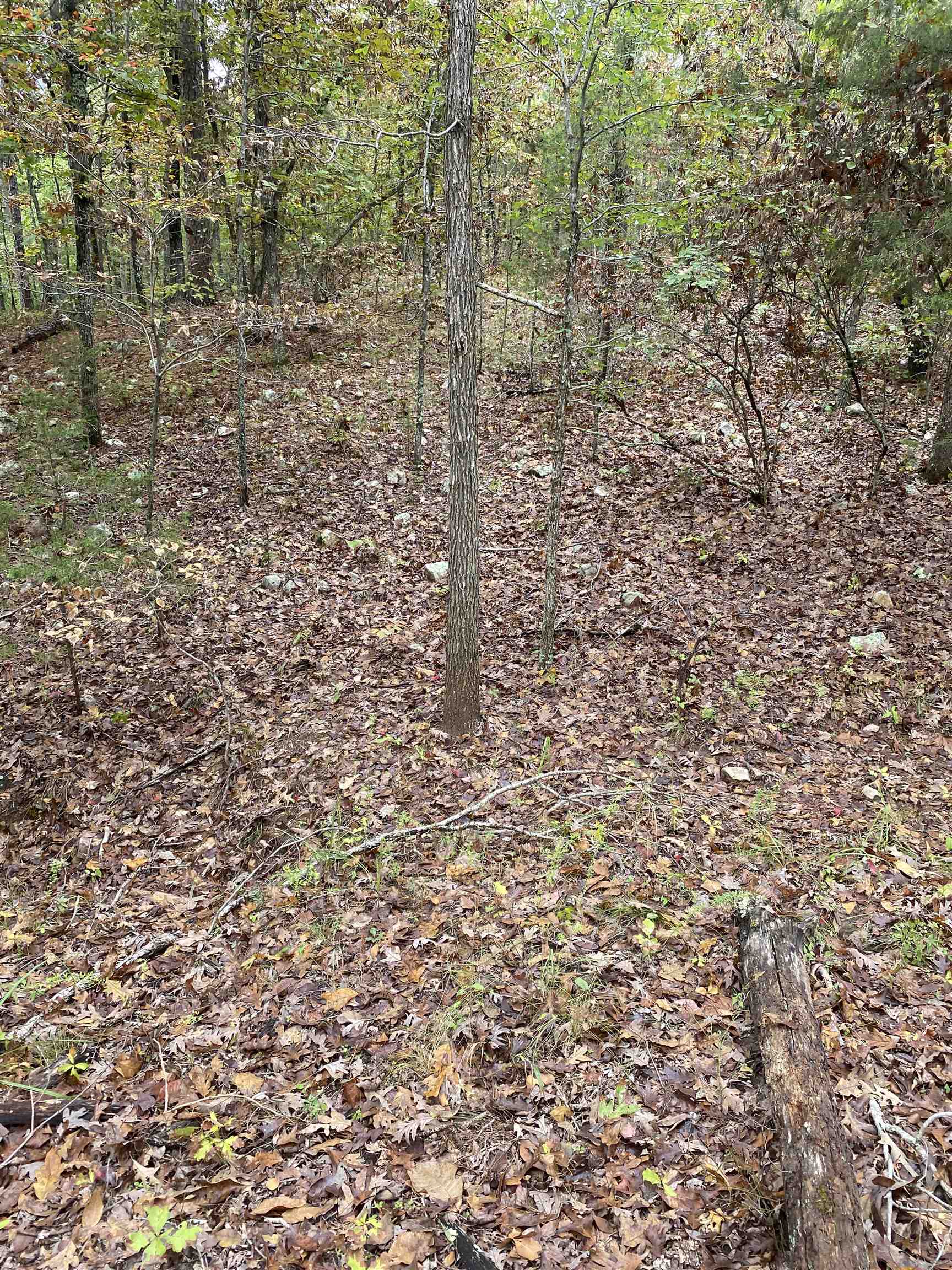 150 Lofton Road Property Photo 15