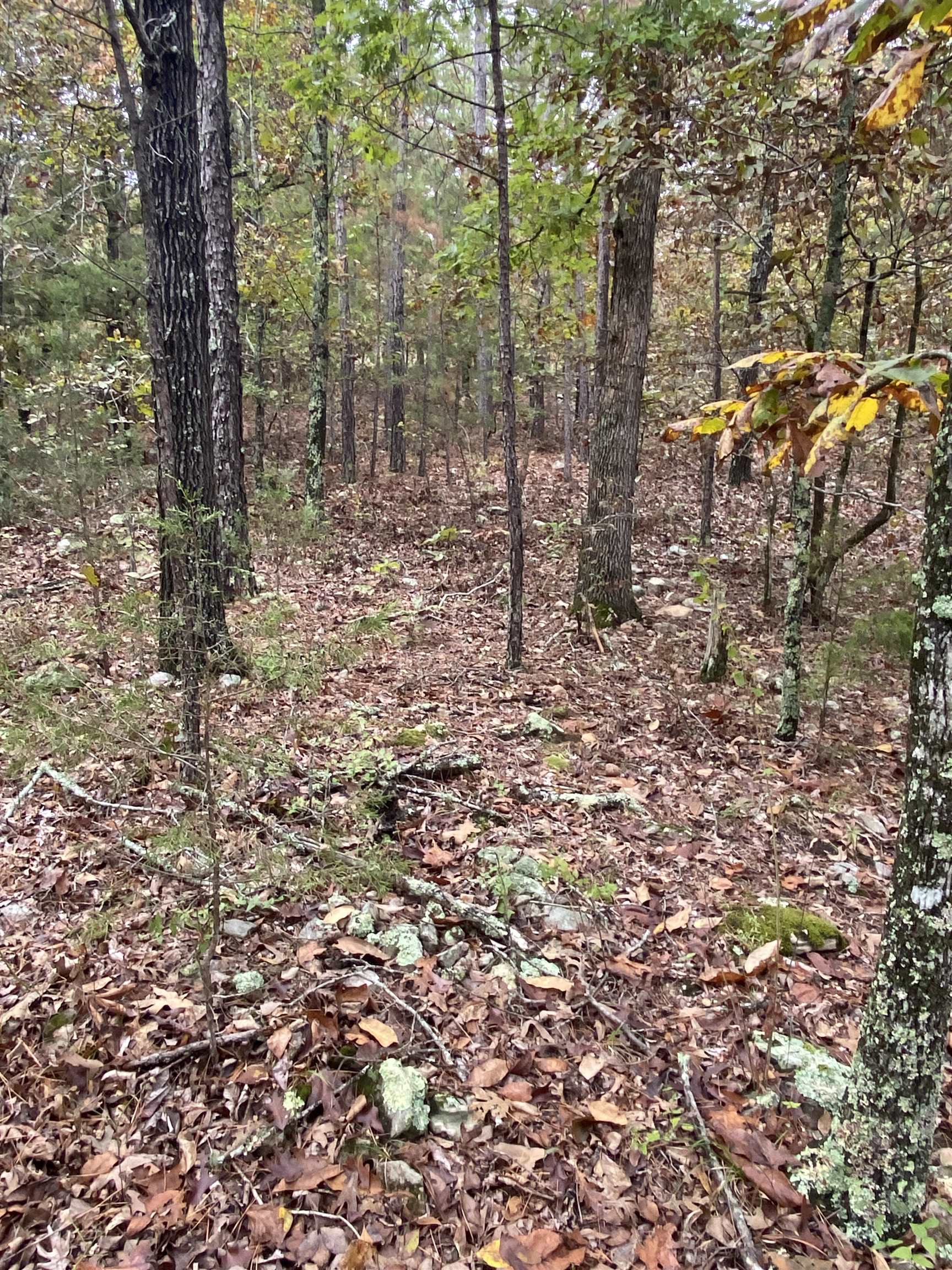 150 Lofton Road Property Photo 16