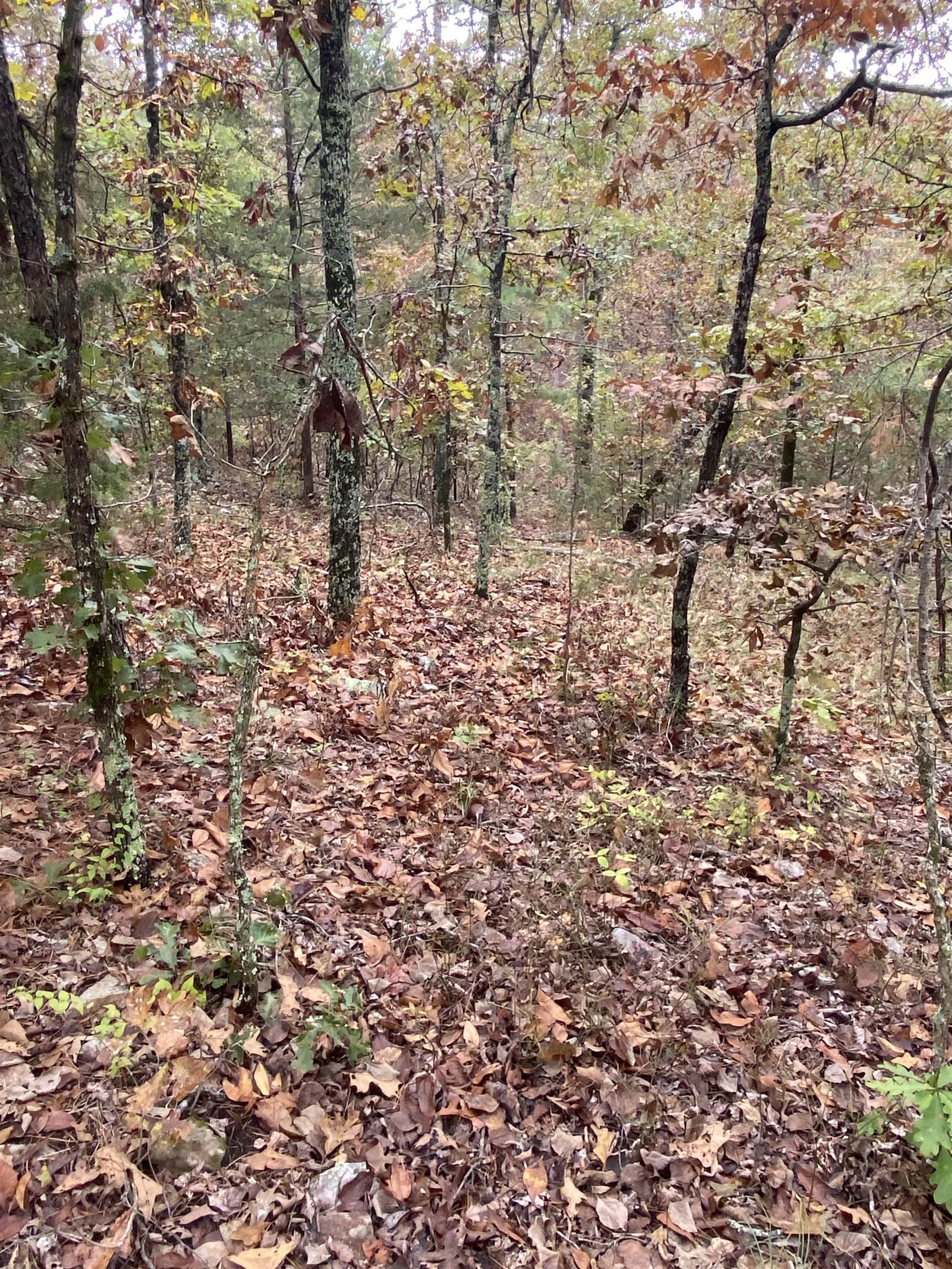 150 Lofton Road Property Photo 17