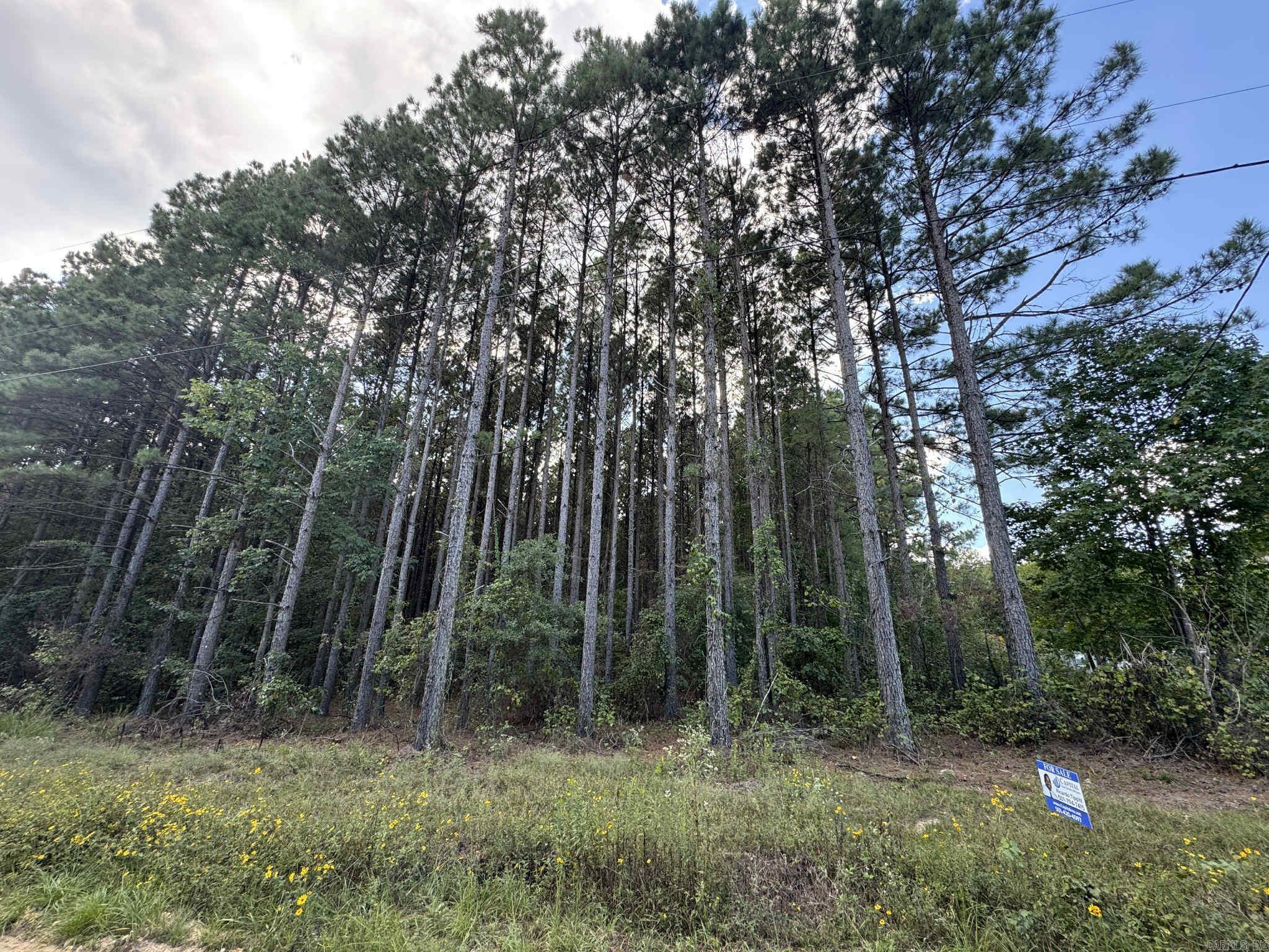 7214 Jericho Road Property Photo 1