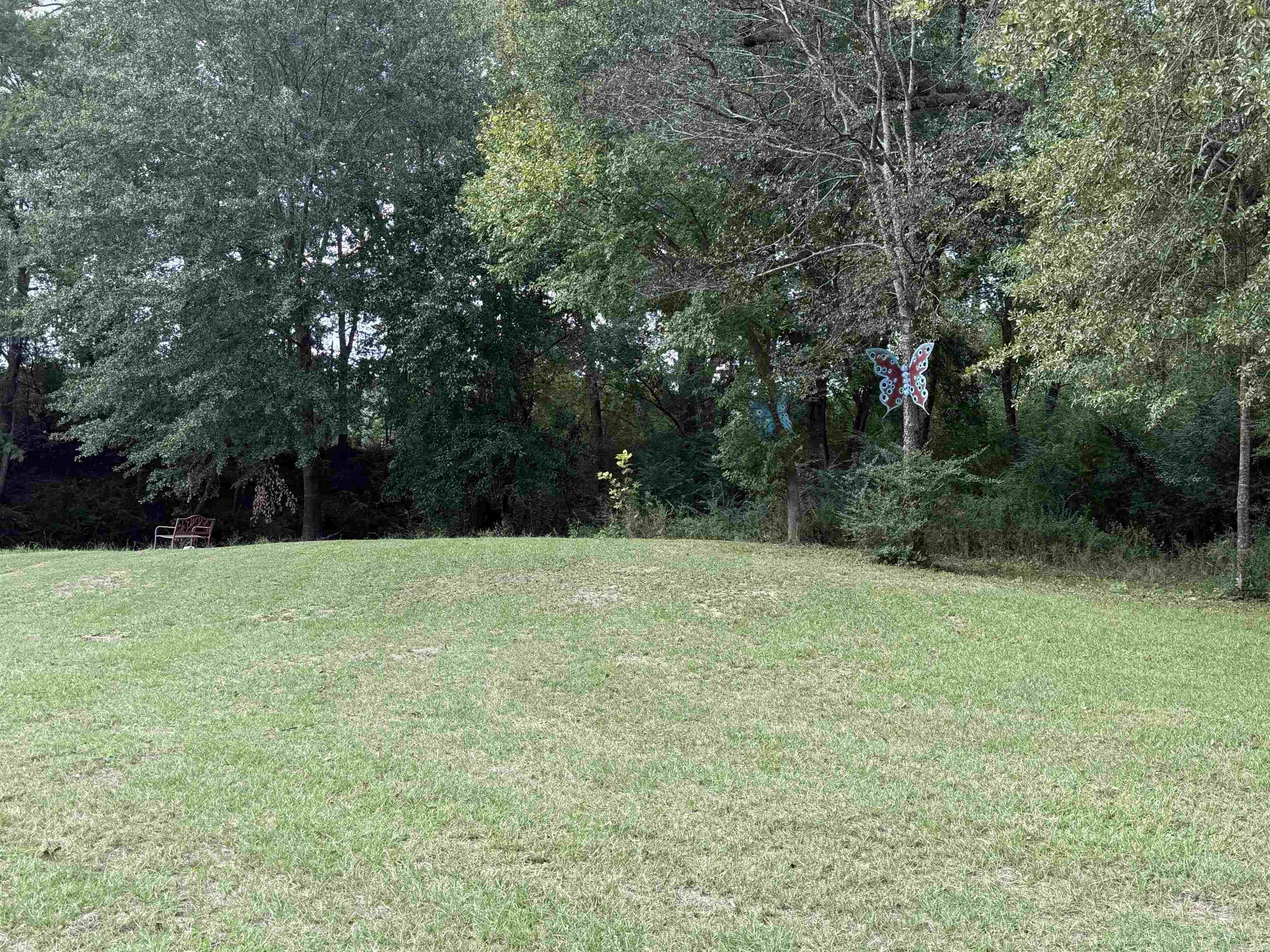 409 E 13th Street Property Photo 45