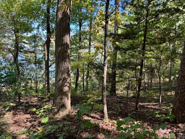 Lot 119 Lakefront Road Property Photo 10