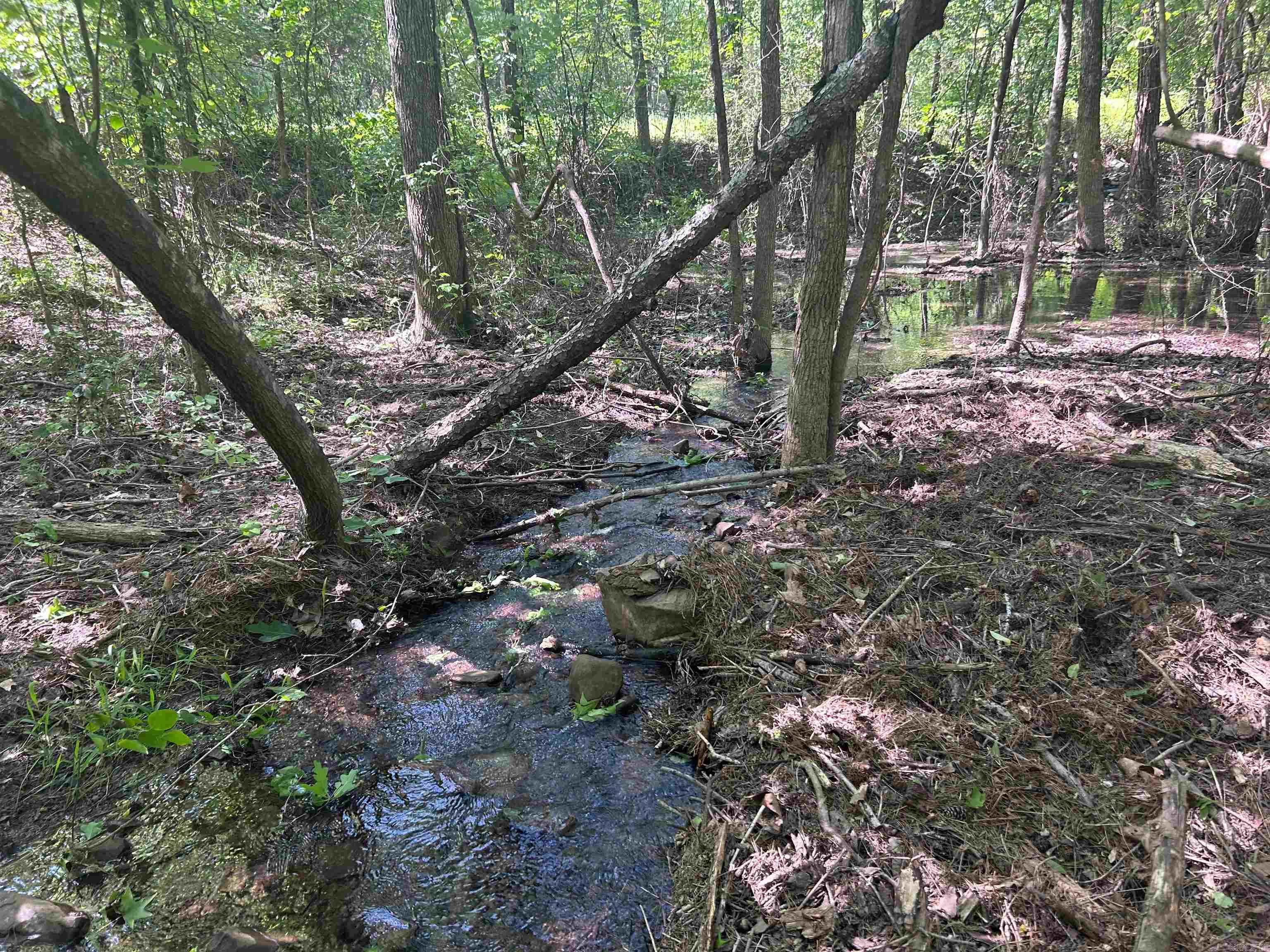 000 Dwight Little Road Property Photo 15