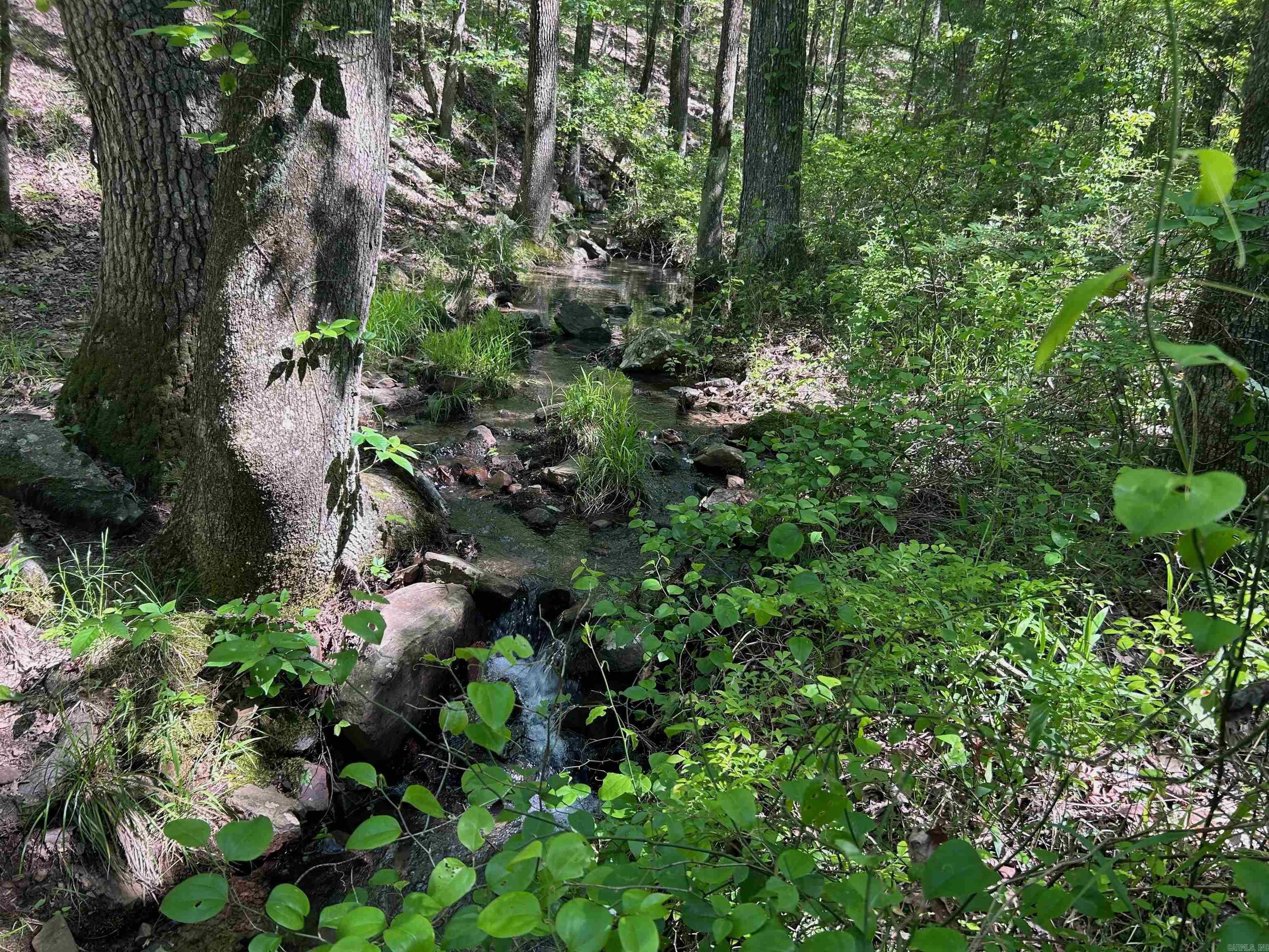 000 Dwight Little Road Property Photo 16