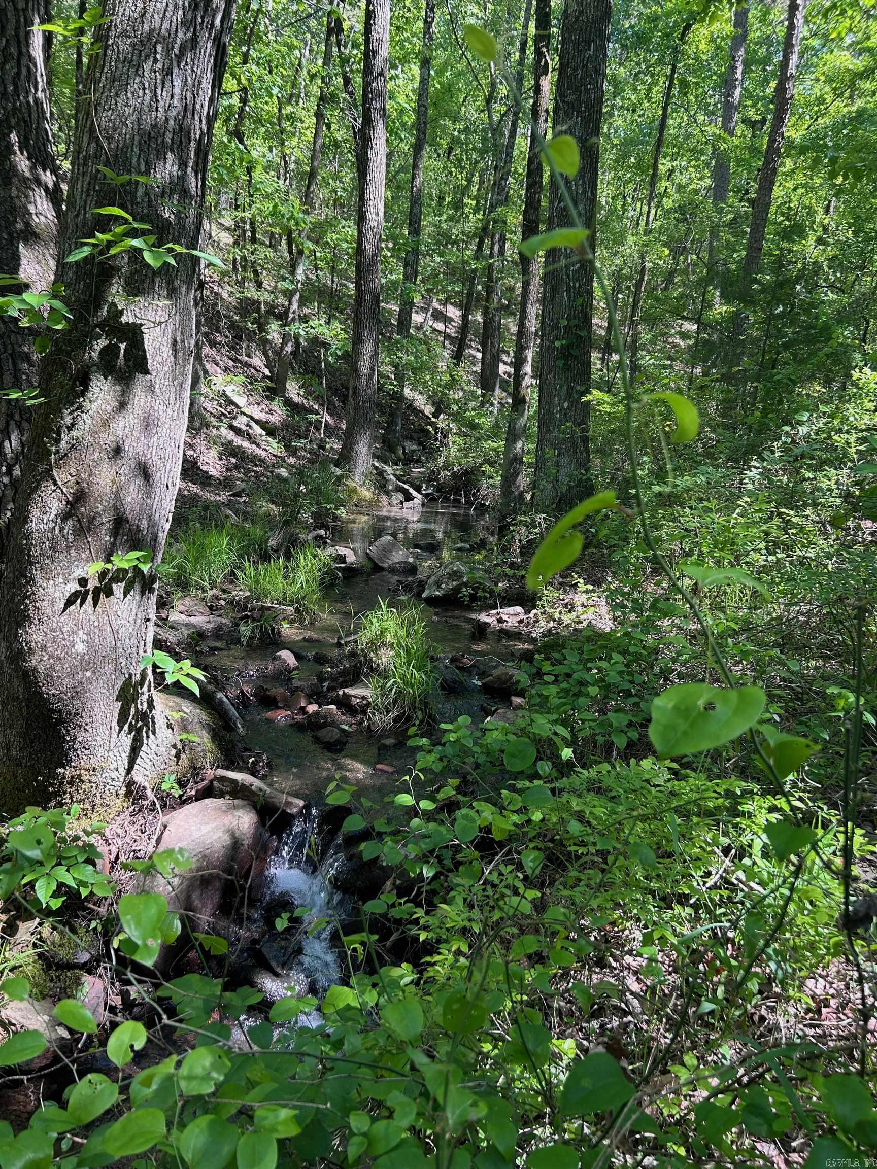 000 Dwight Little Road Property Photo 17
