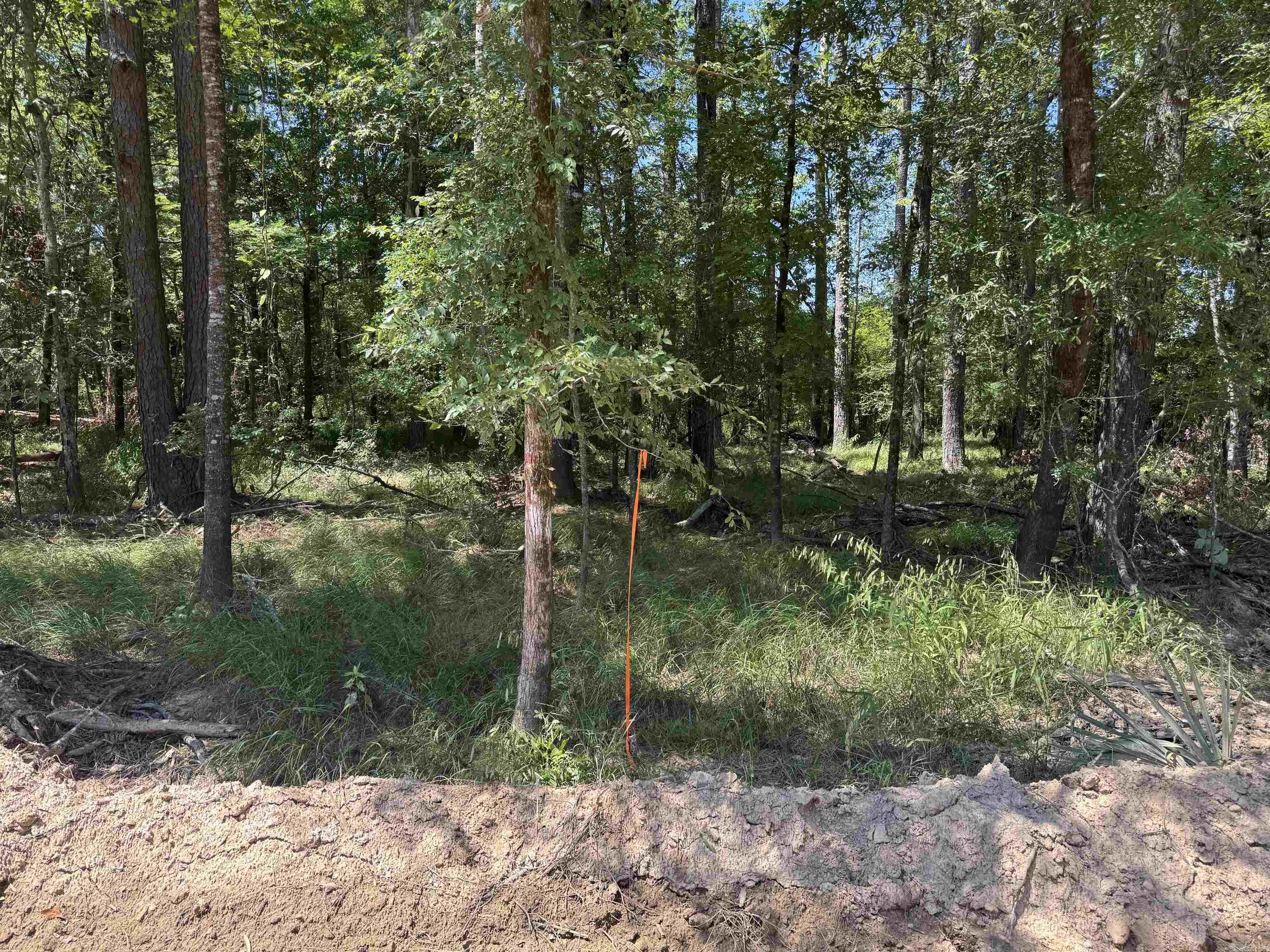 Tbd Bradley 351 Property Photo 5