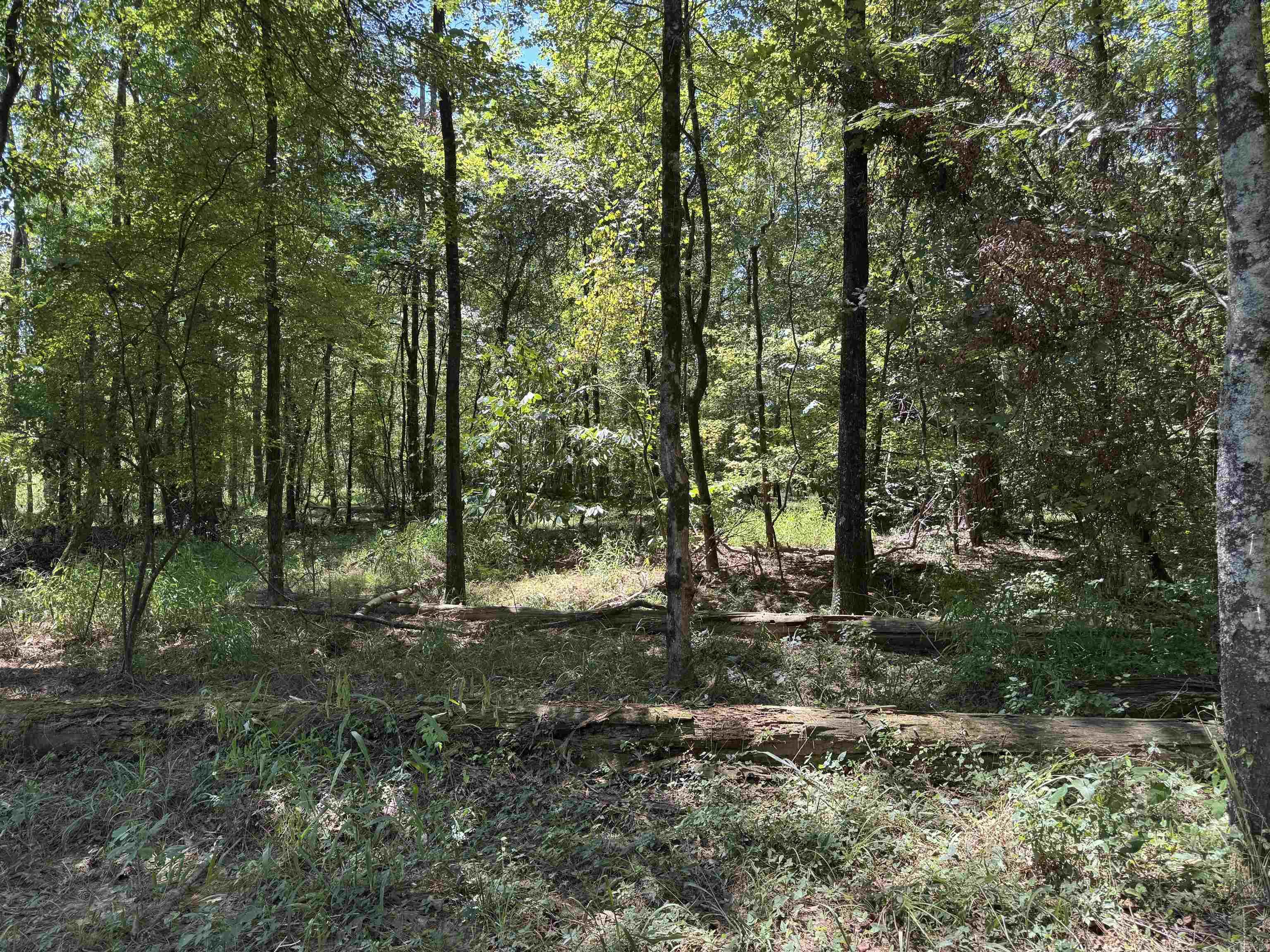 Tbd Bradley 351 Property Photo 9