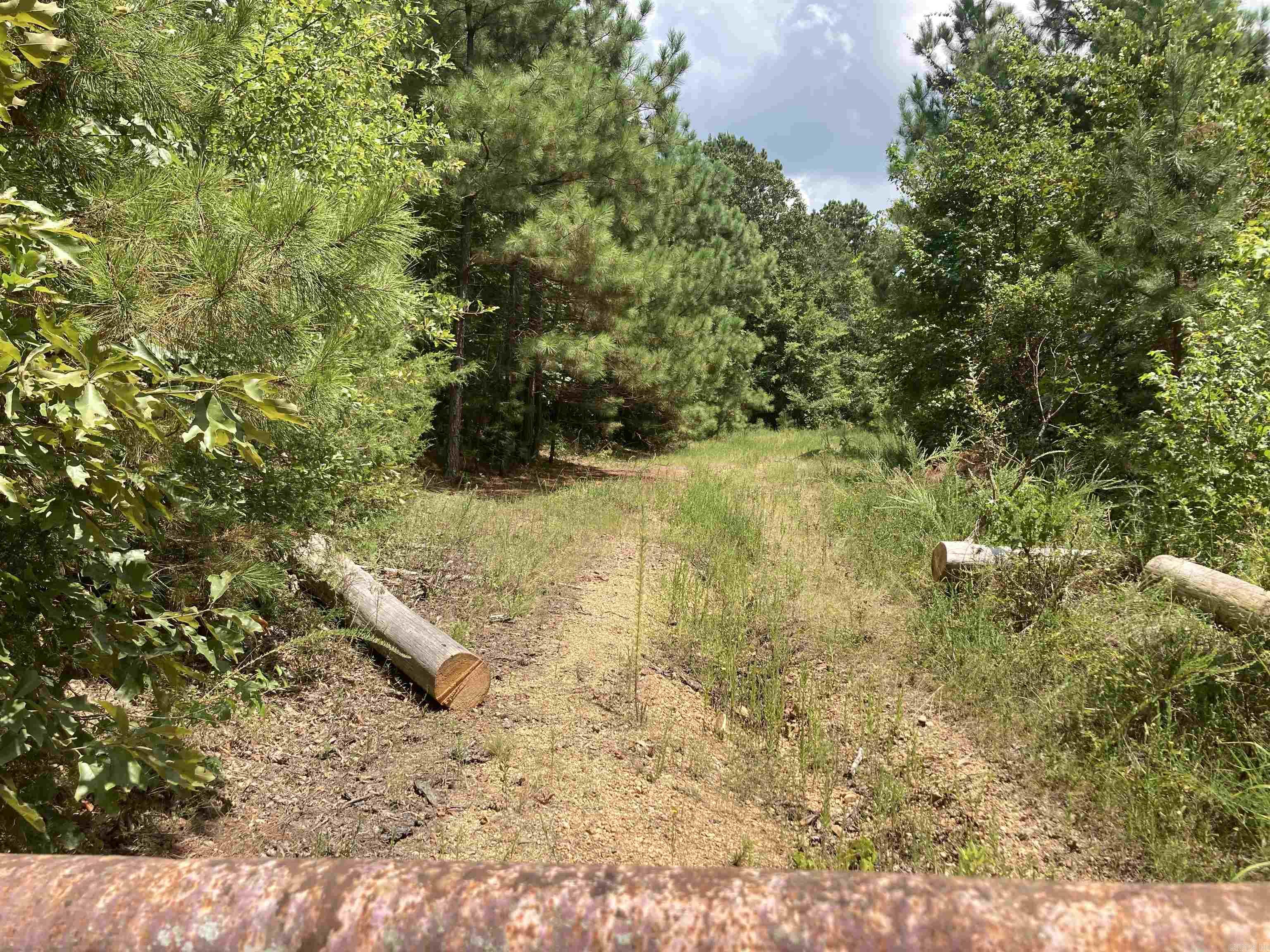 Tbd Polk Road 31 Property Photo 11