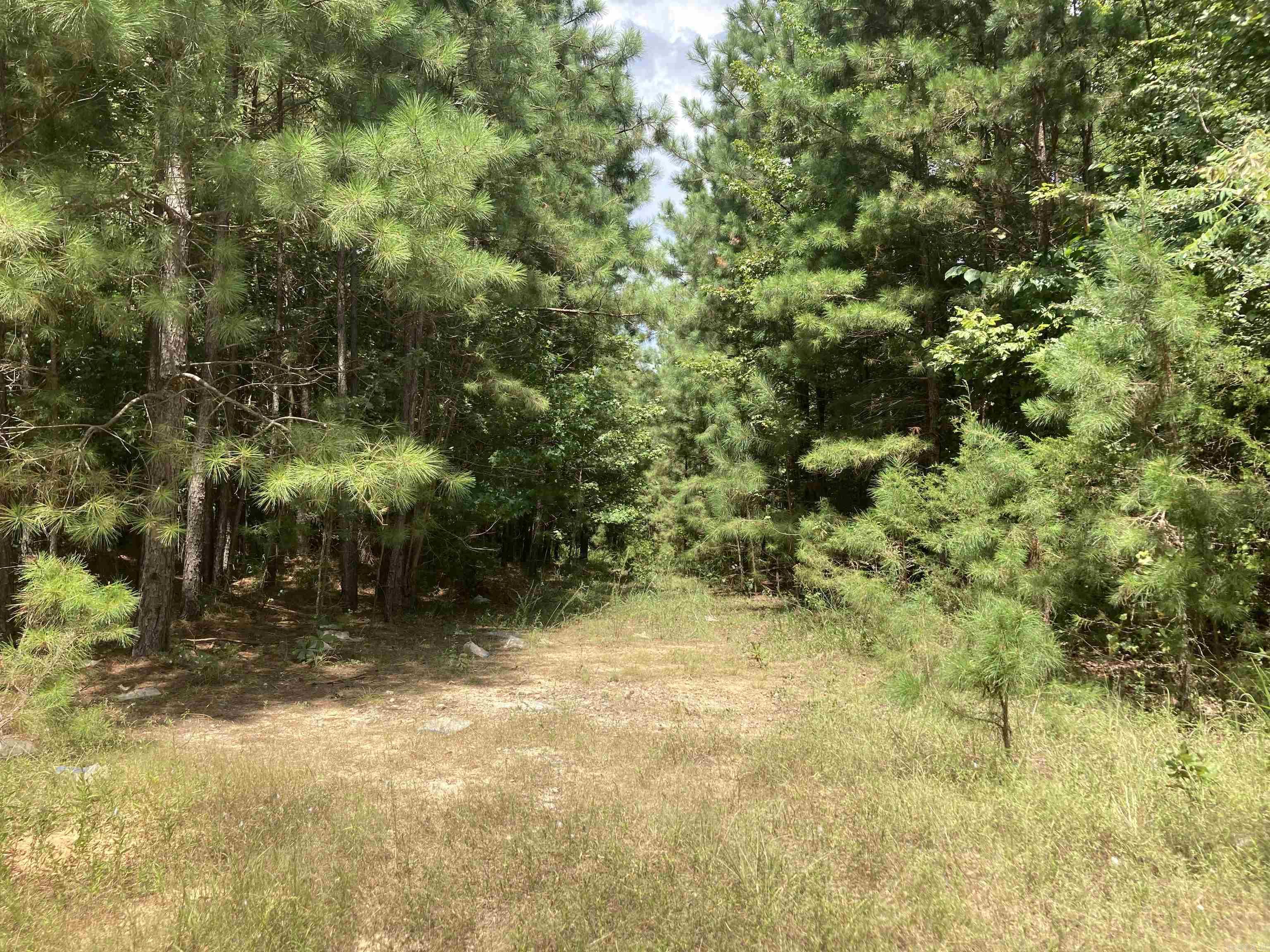 Tbd Polk Road 31 Property Photo 13