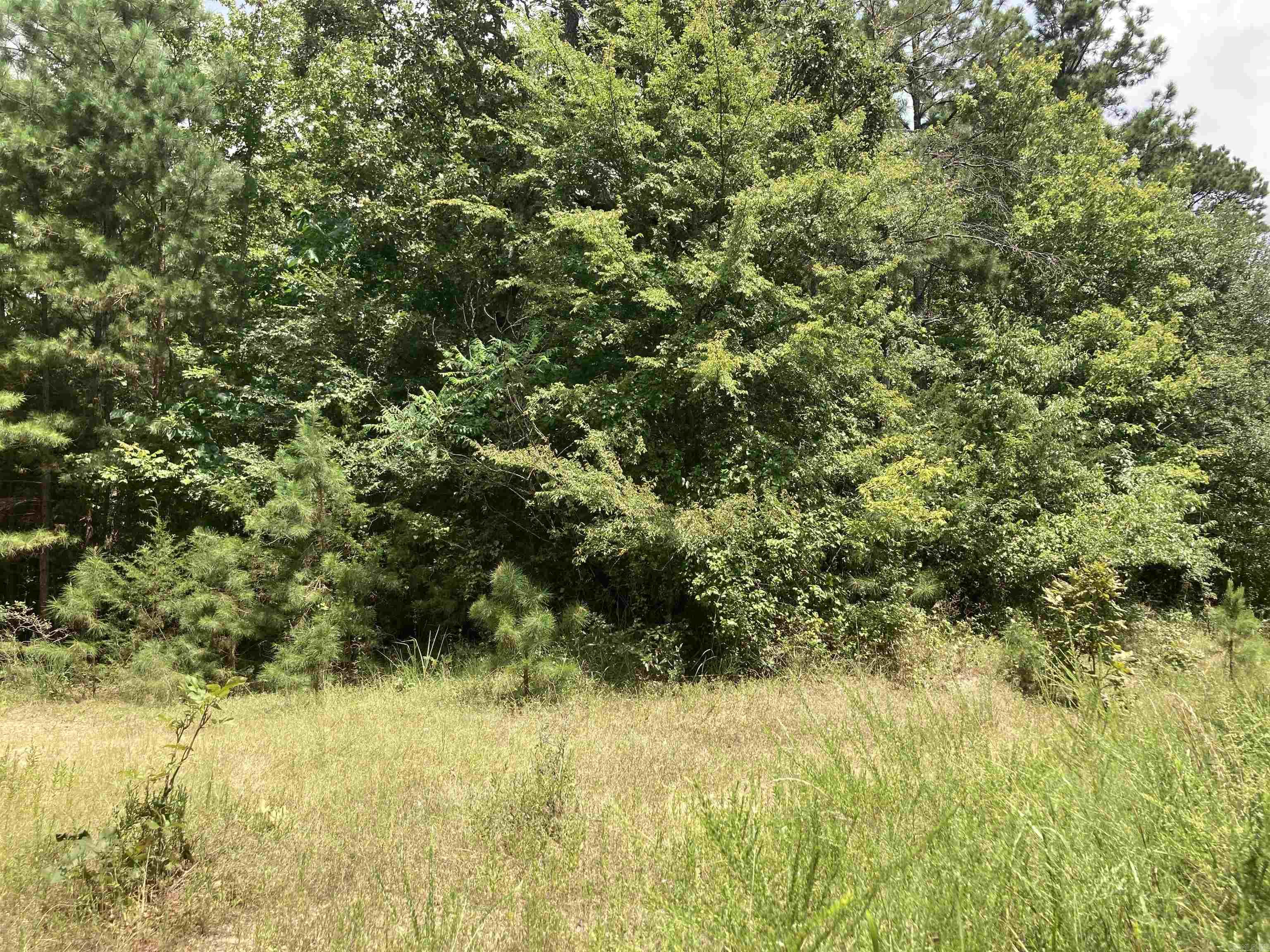 Tbd Polk Road 31 Property Photo 14