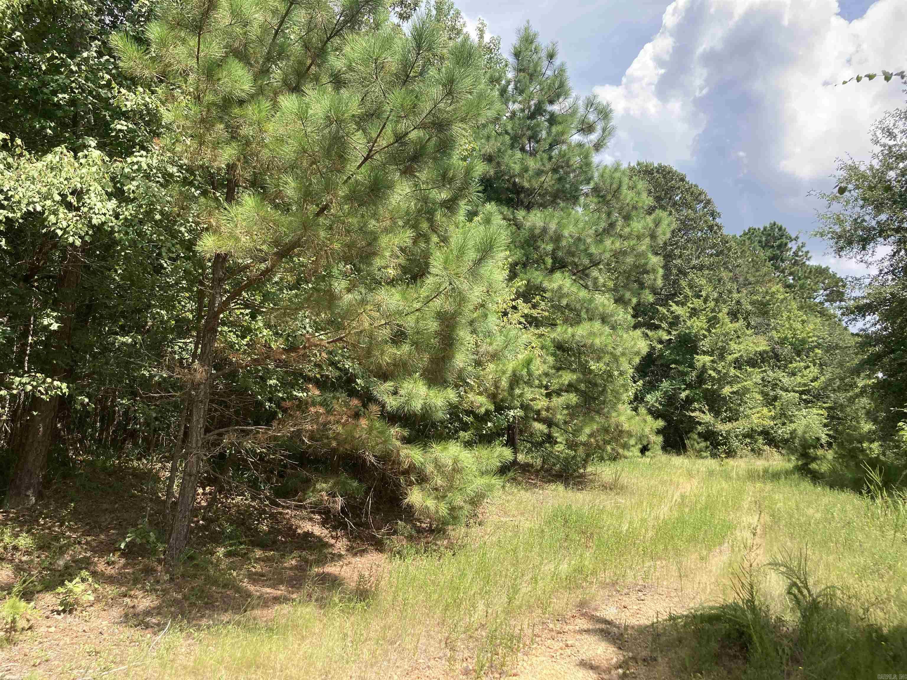 Tbd Polk Road 31 Property Photo 15