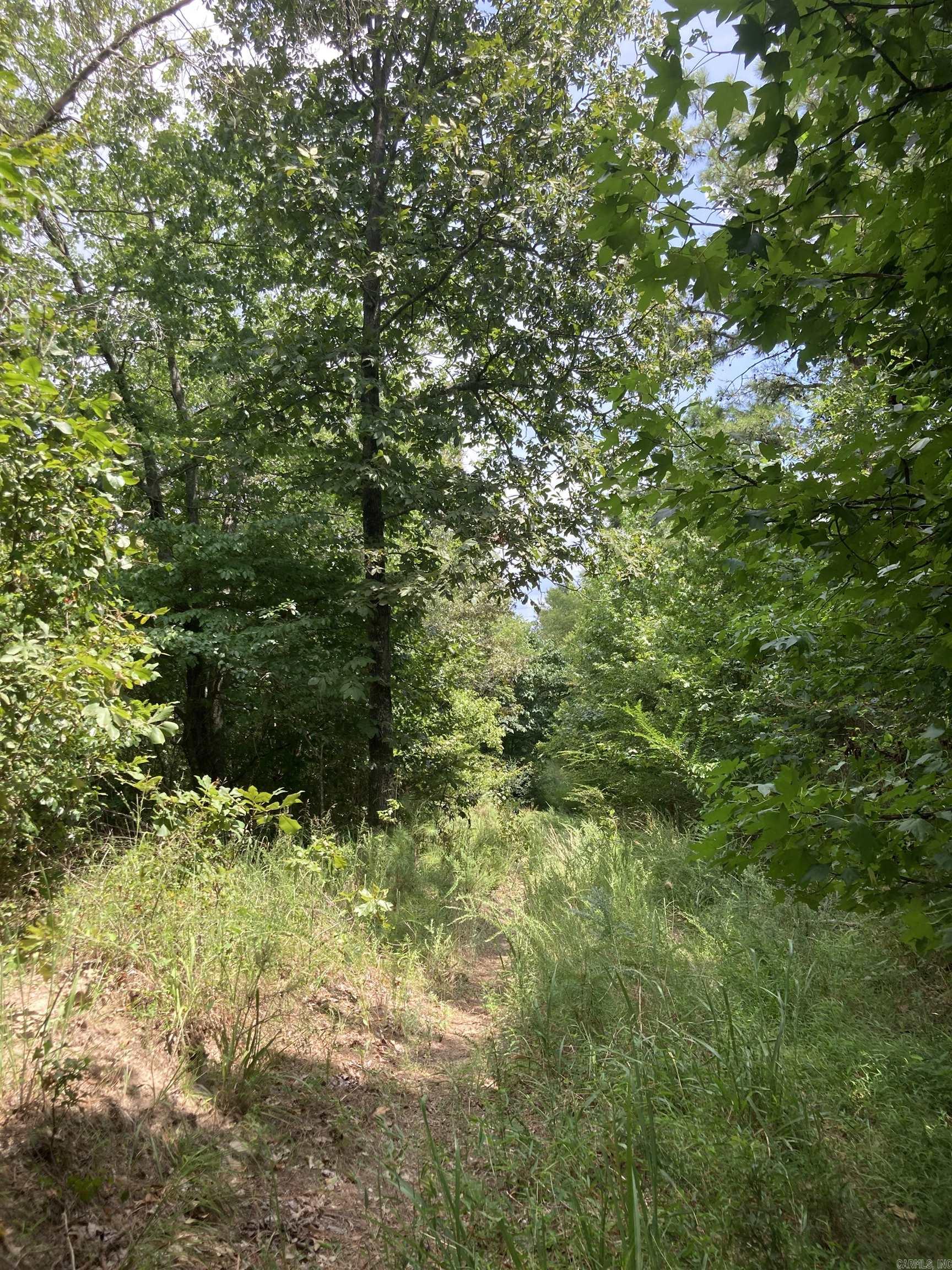 Tbd Polk Road 31 Property Photo 17
