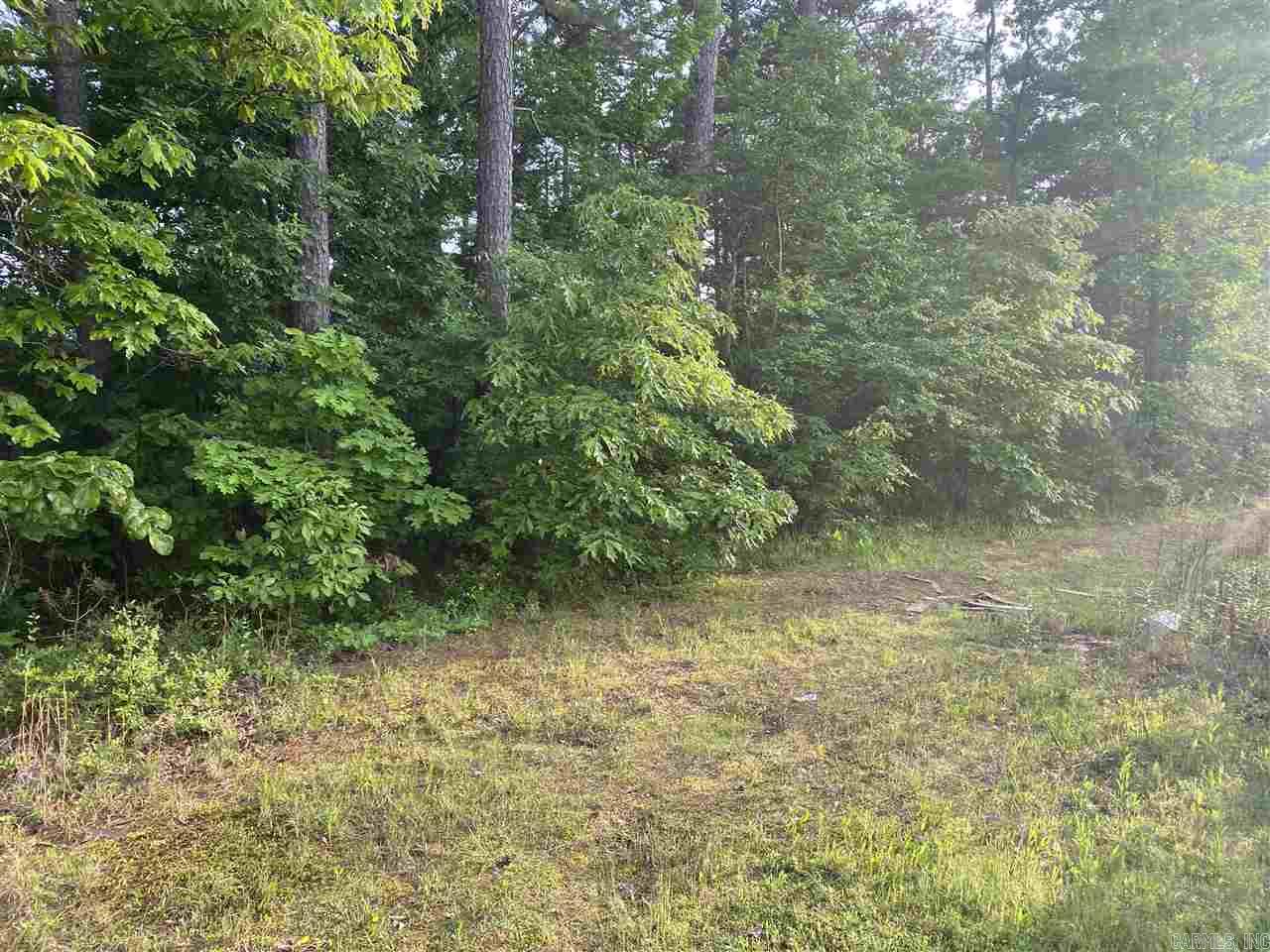 00 W David O Dodd Property Photo 1