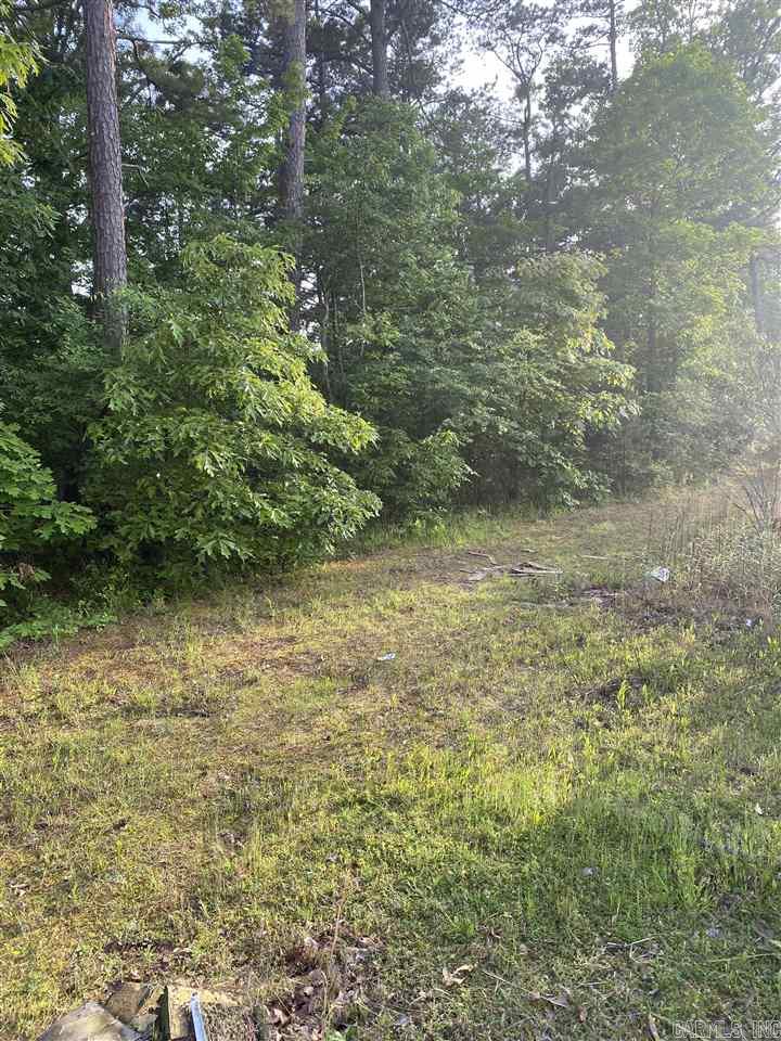 00 W David O Dodd Property Photo 3