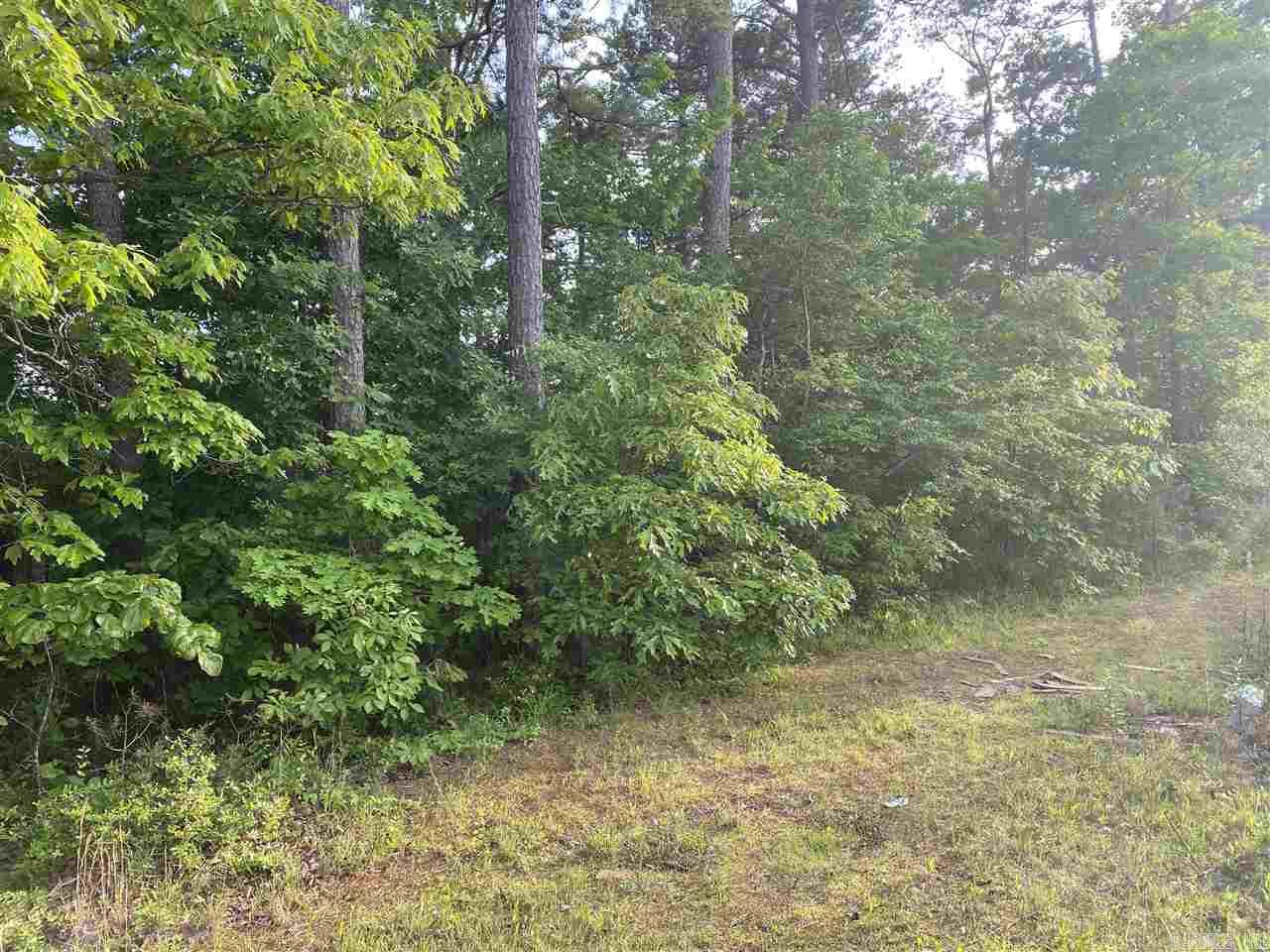 00 W David O Dodd Property Photo 5