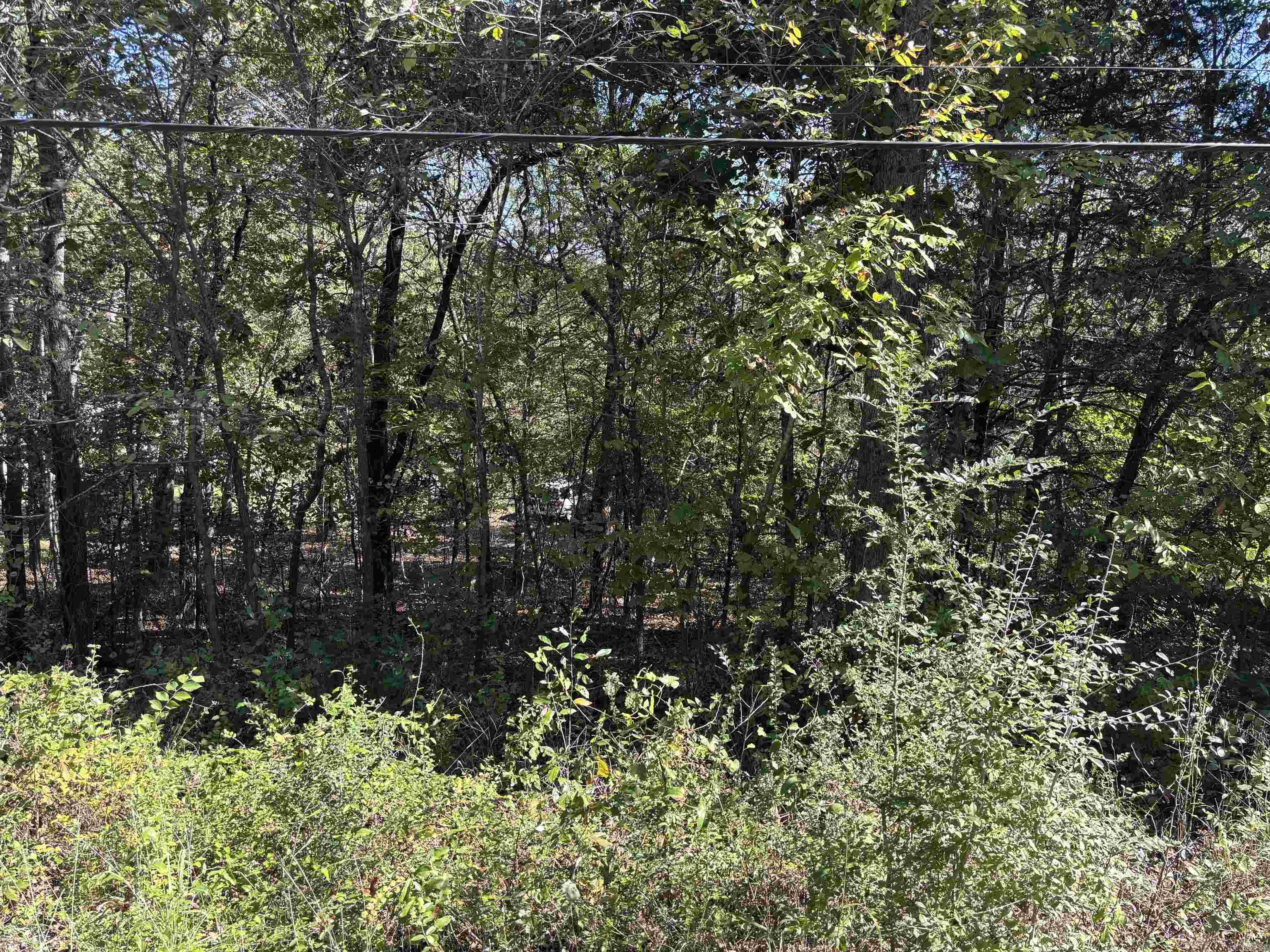 Tbd W Lakeshore Drive Property Photo 6