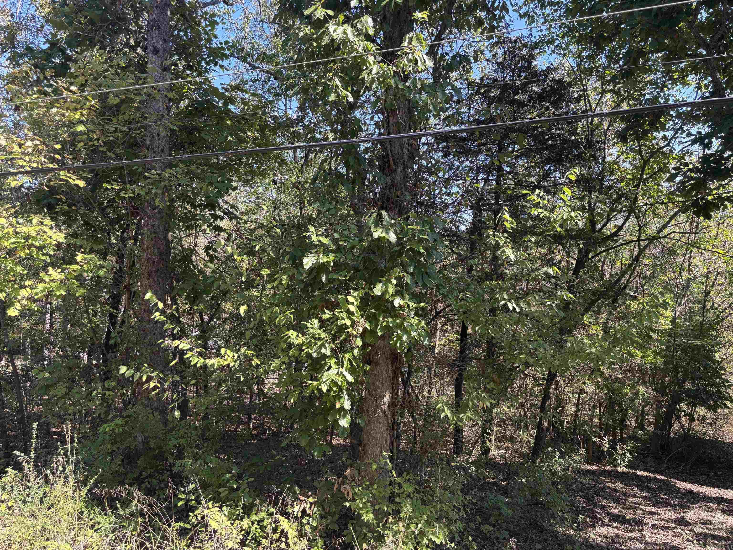 Tbd W Lakeshore Drive Property Photo 7