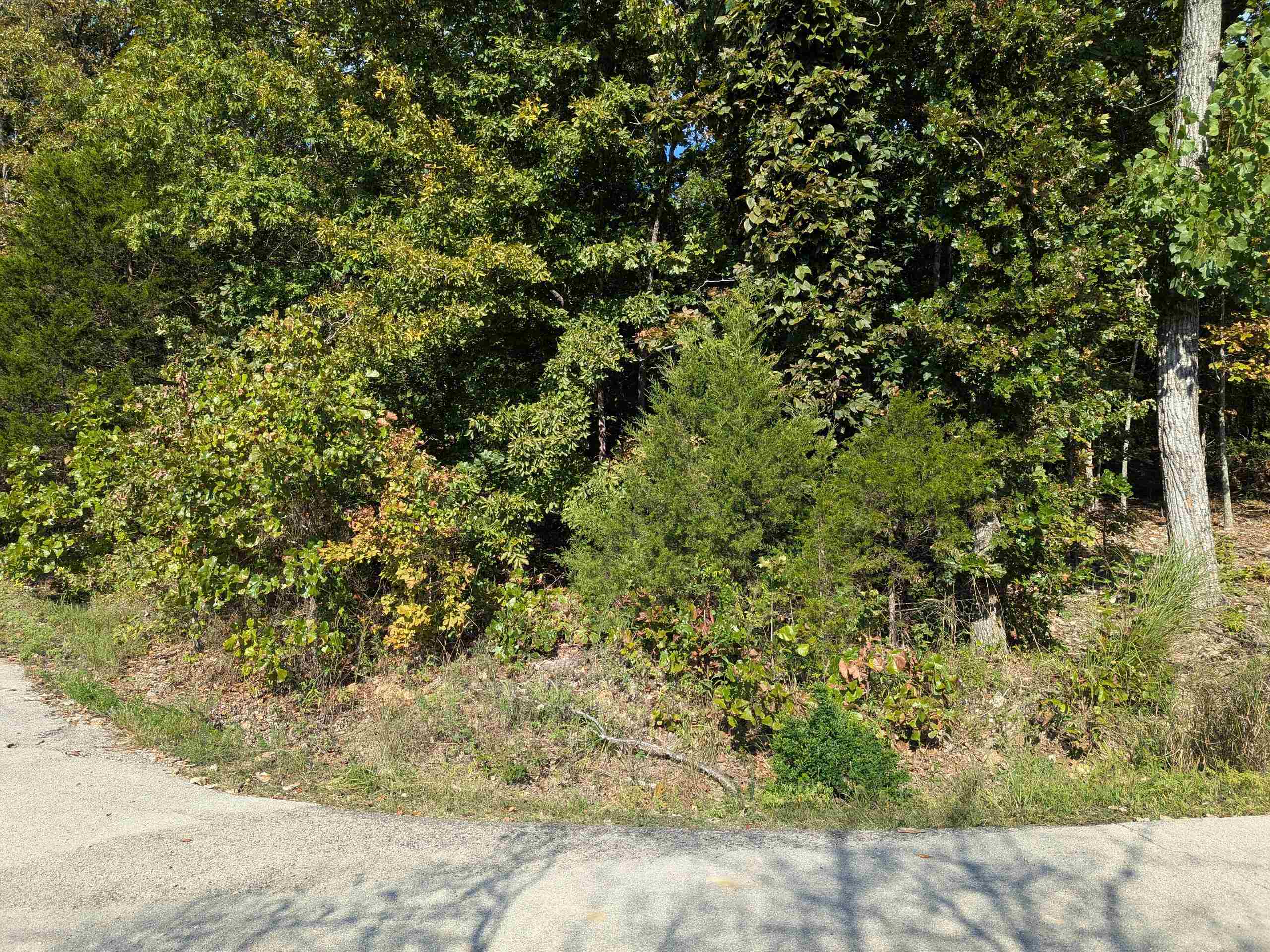 L20,21,22 B6 Lakota Trace Property Photo 4