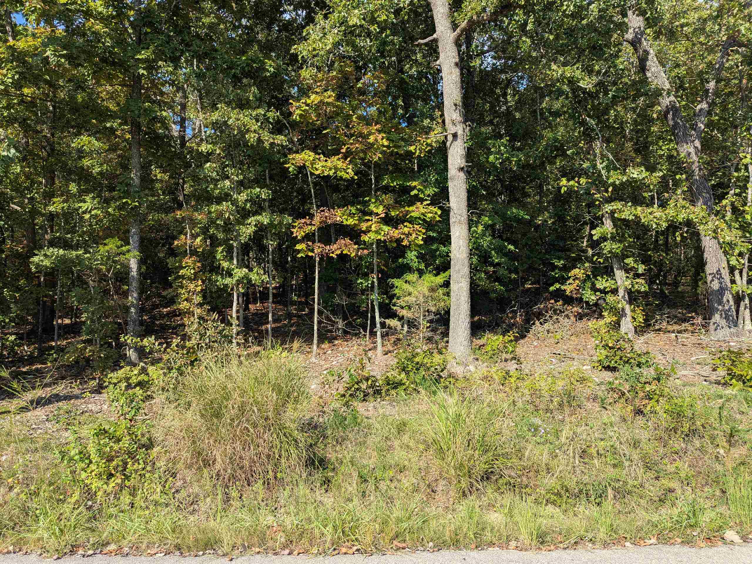 L20,21,22 B6 Lakota Trace Property Photo 6