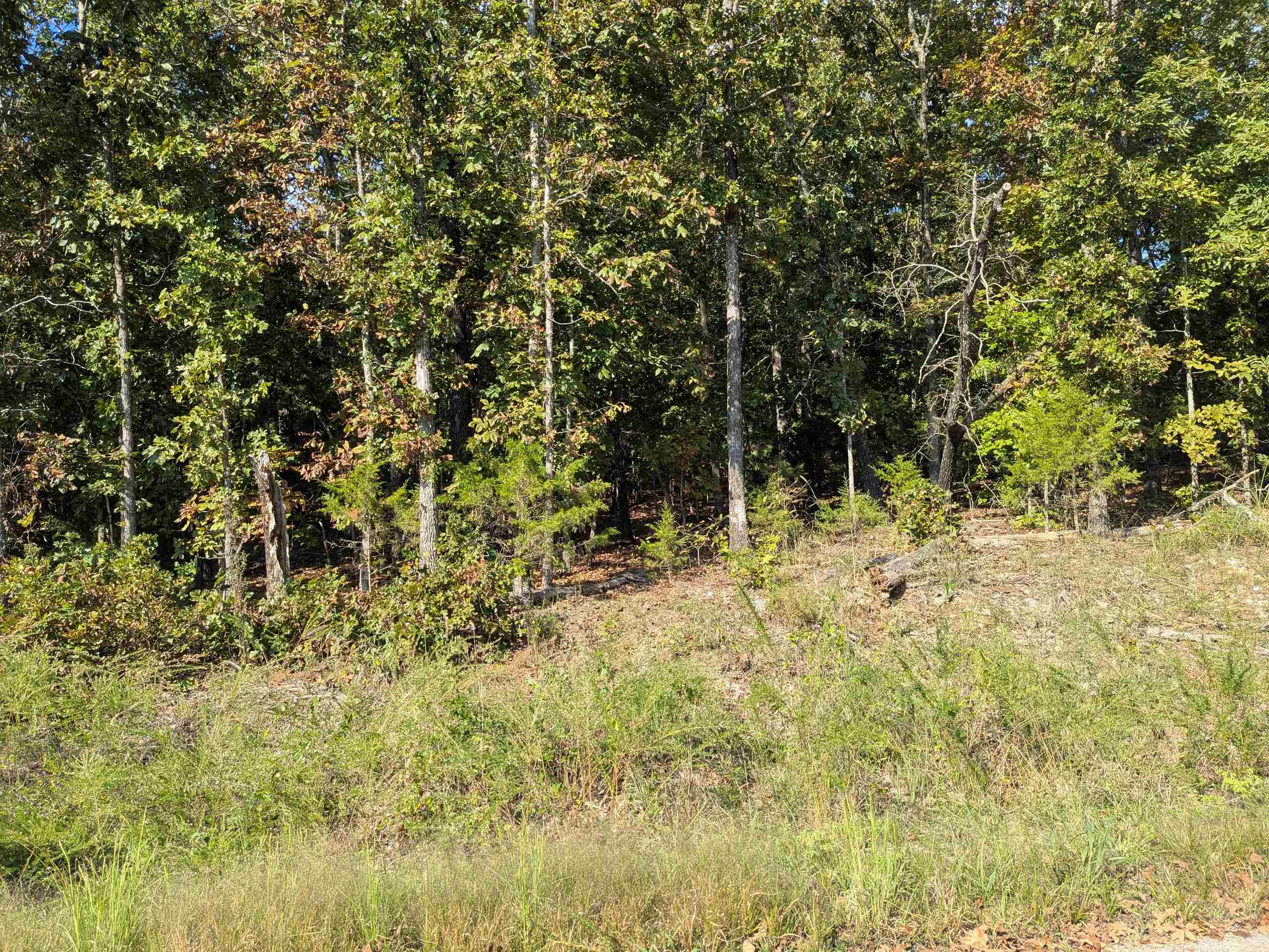 L20,21,22 B6 Lakota Trace Property Photo 8