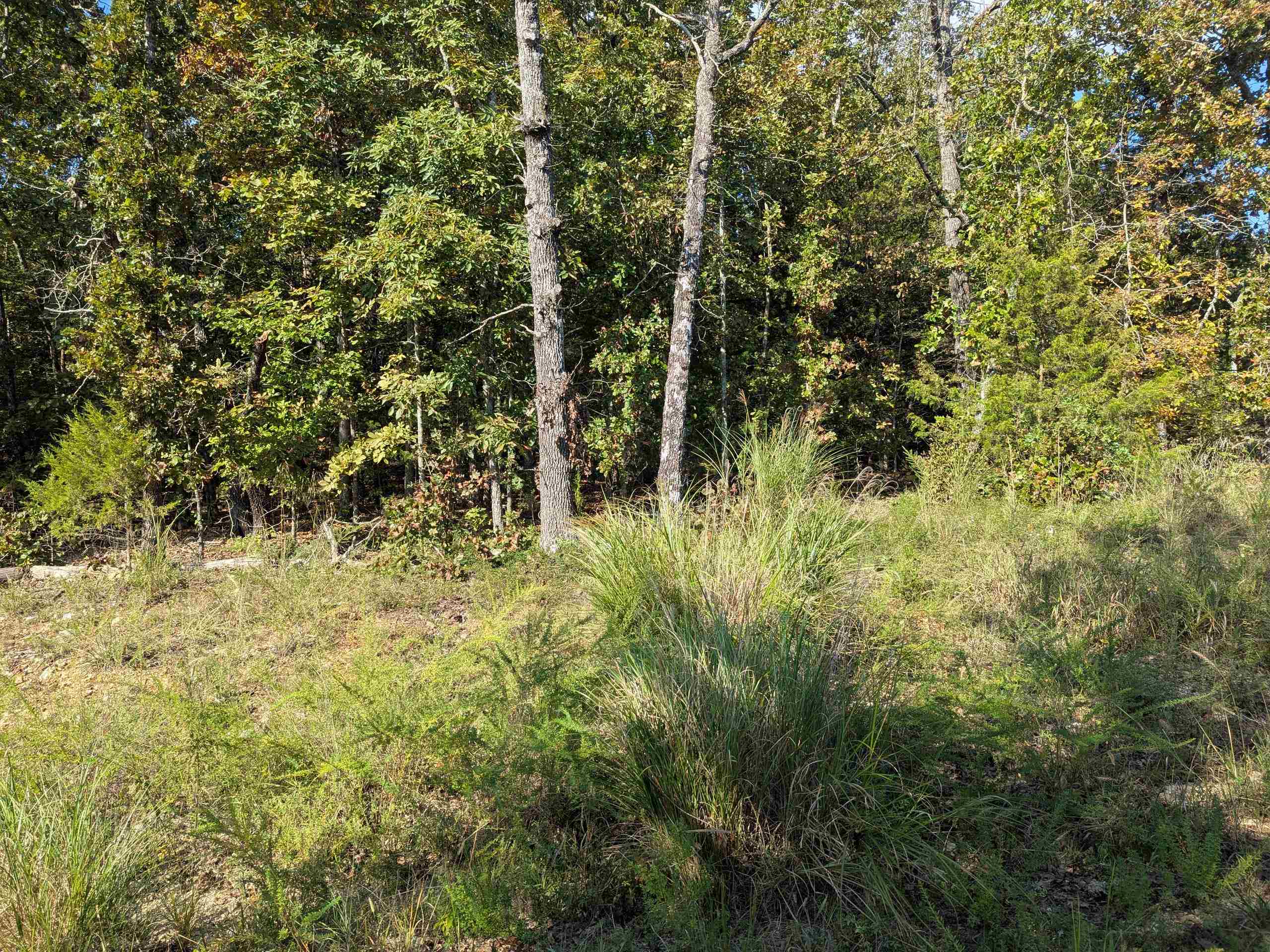 L20,21,22 B6 Lakota Trace Property Photo 9