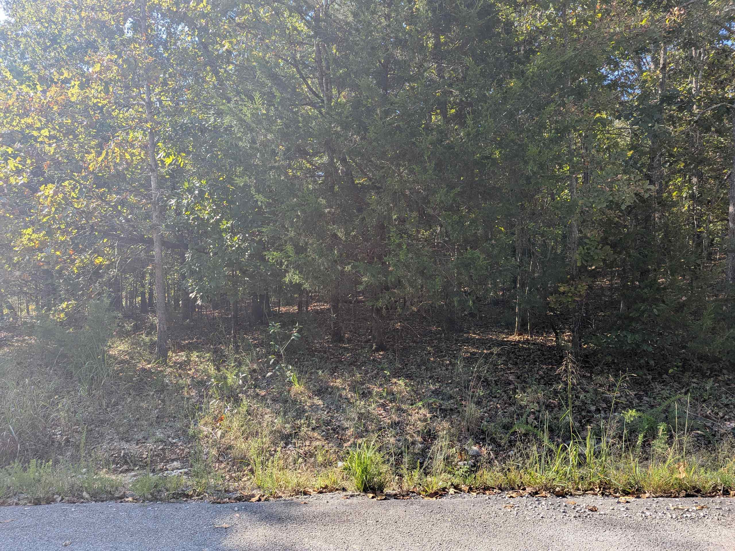 L20,21,22 B6 Lakota Trace Property Photo 13