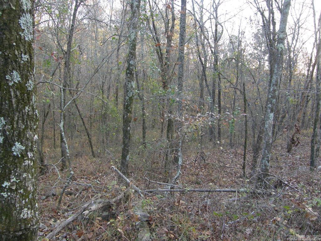 155 Shady Lane Property Photo 8