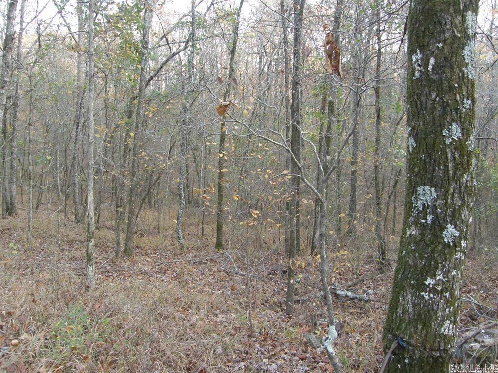 155 Shady Lane Property Photo 9
