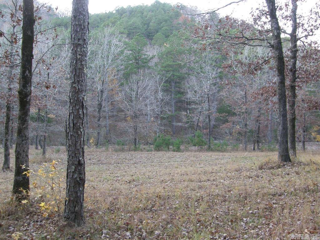 155 Shady Lane Property Photo 14