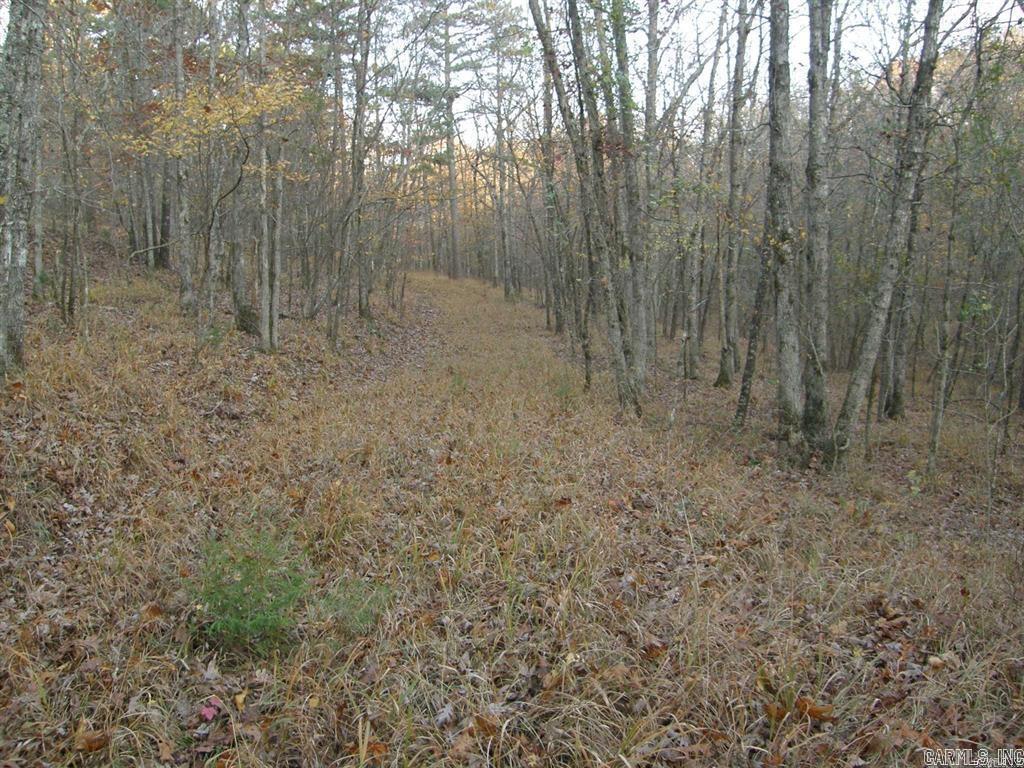 155 Shady Lane Property Photo 16