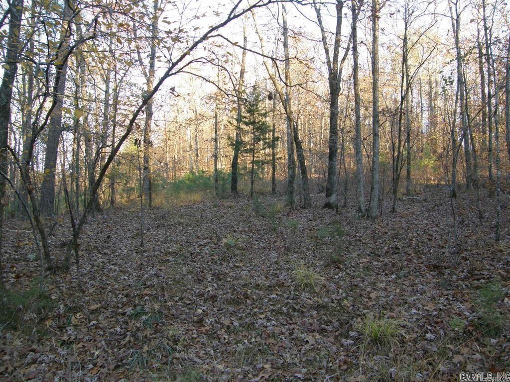 155 Shady Lane Property Photo 17