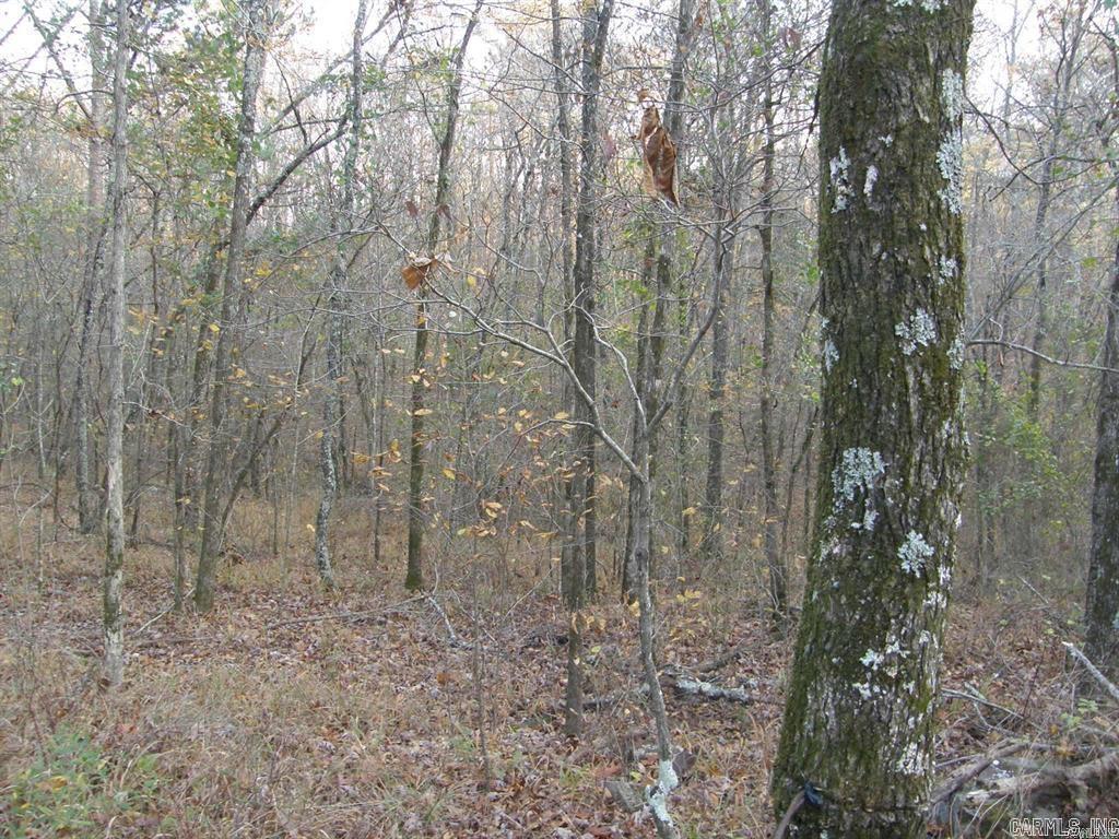 155 Shady Lane Property Photo 19