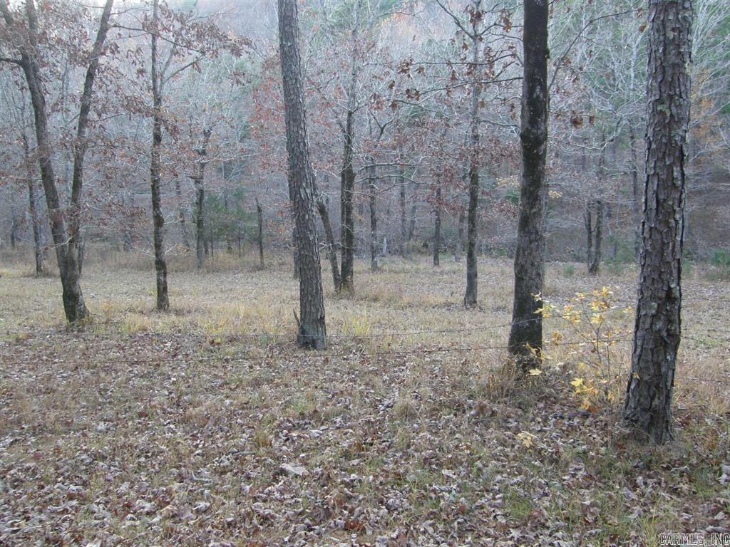 155 Shady Lane Property Photo 20