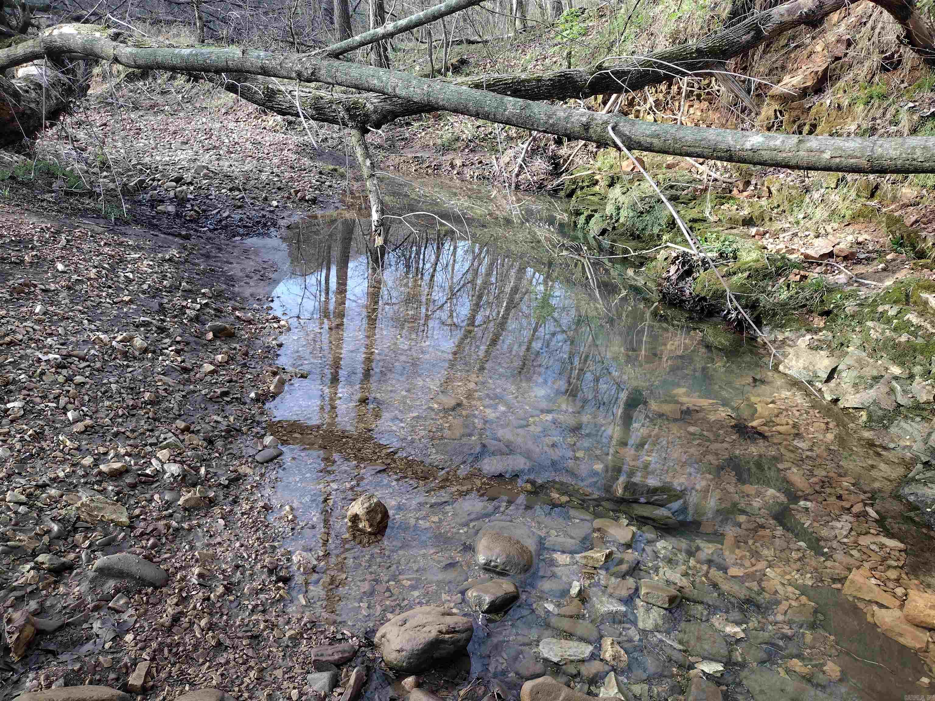 30121 Hwy 263 N Property Photo 32