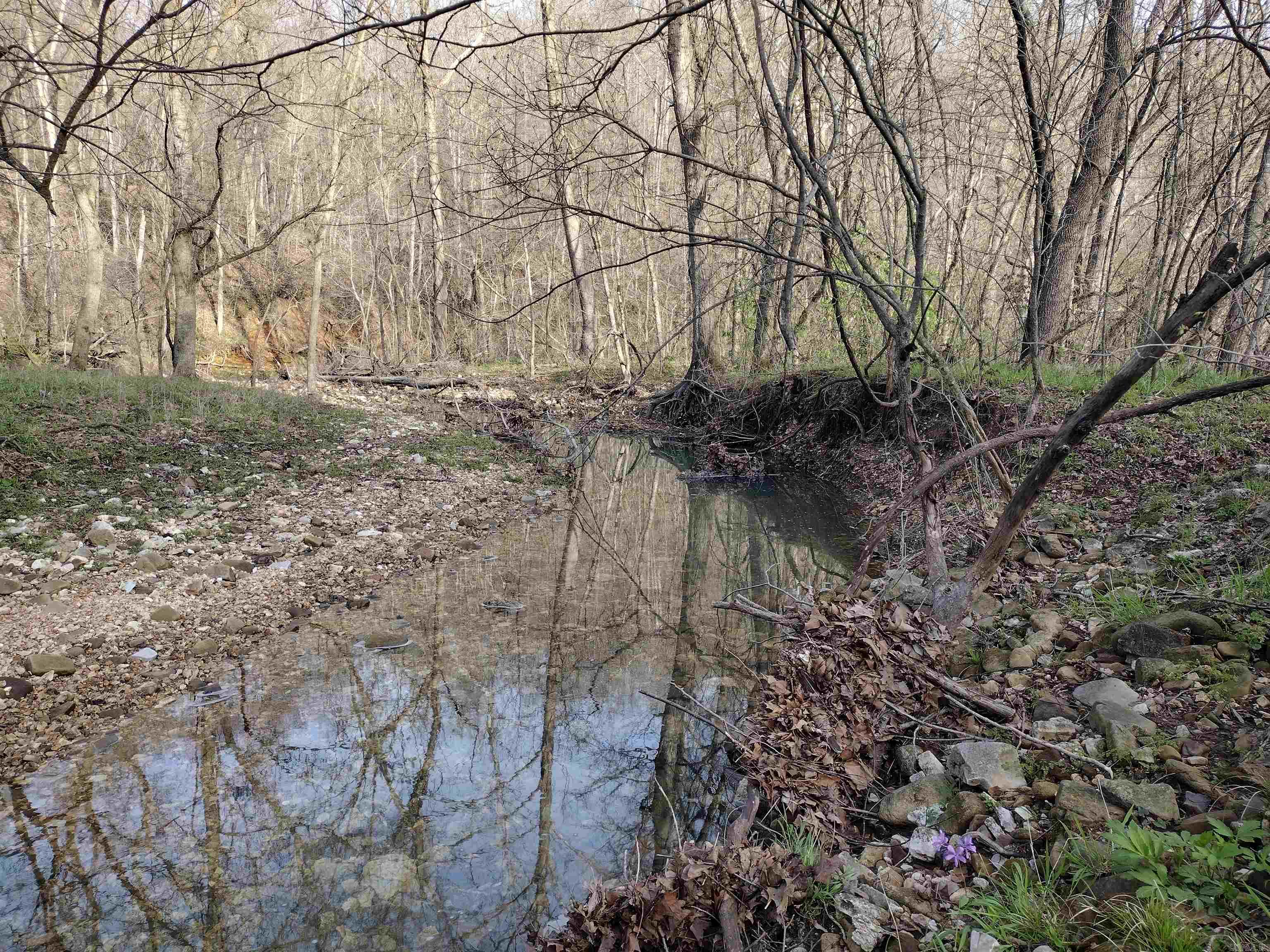 30121 Hwy 263 N Property Photo 34