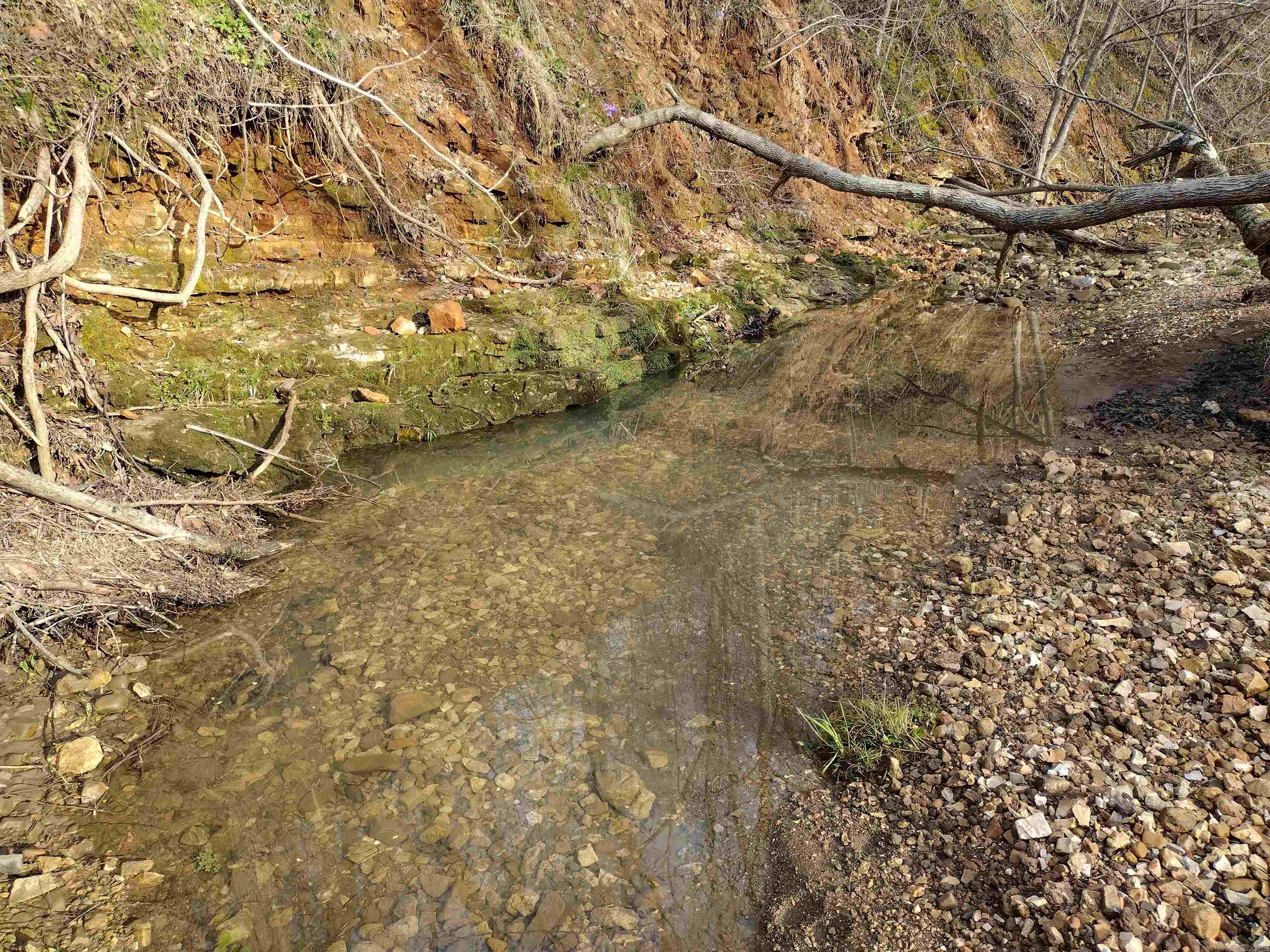 30121 Hwy 263 N Property Photo 35