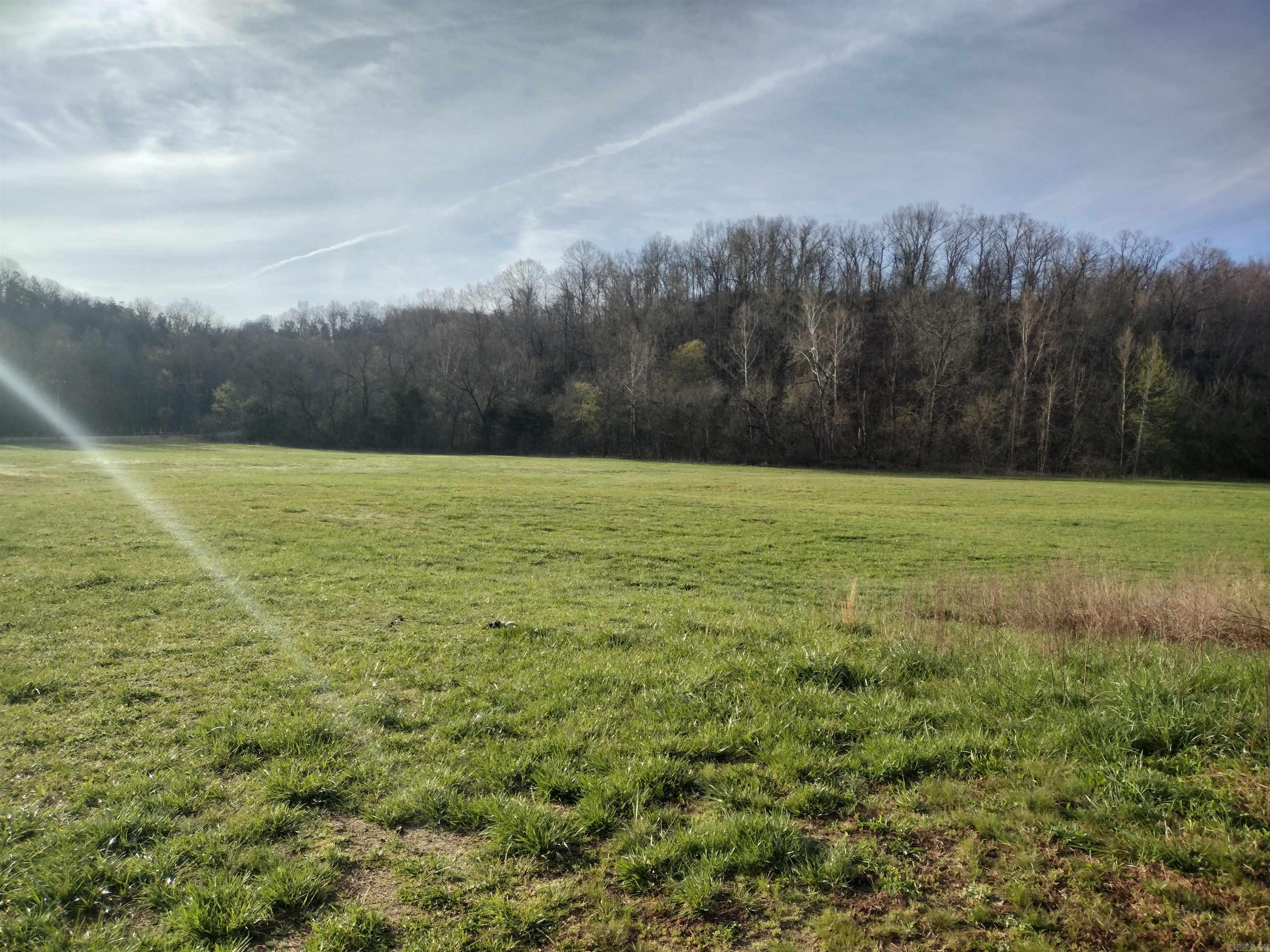 30121 Hwy 263 N Property Photo 37