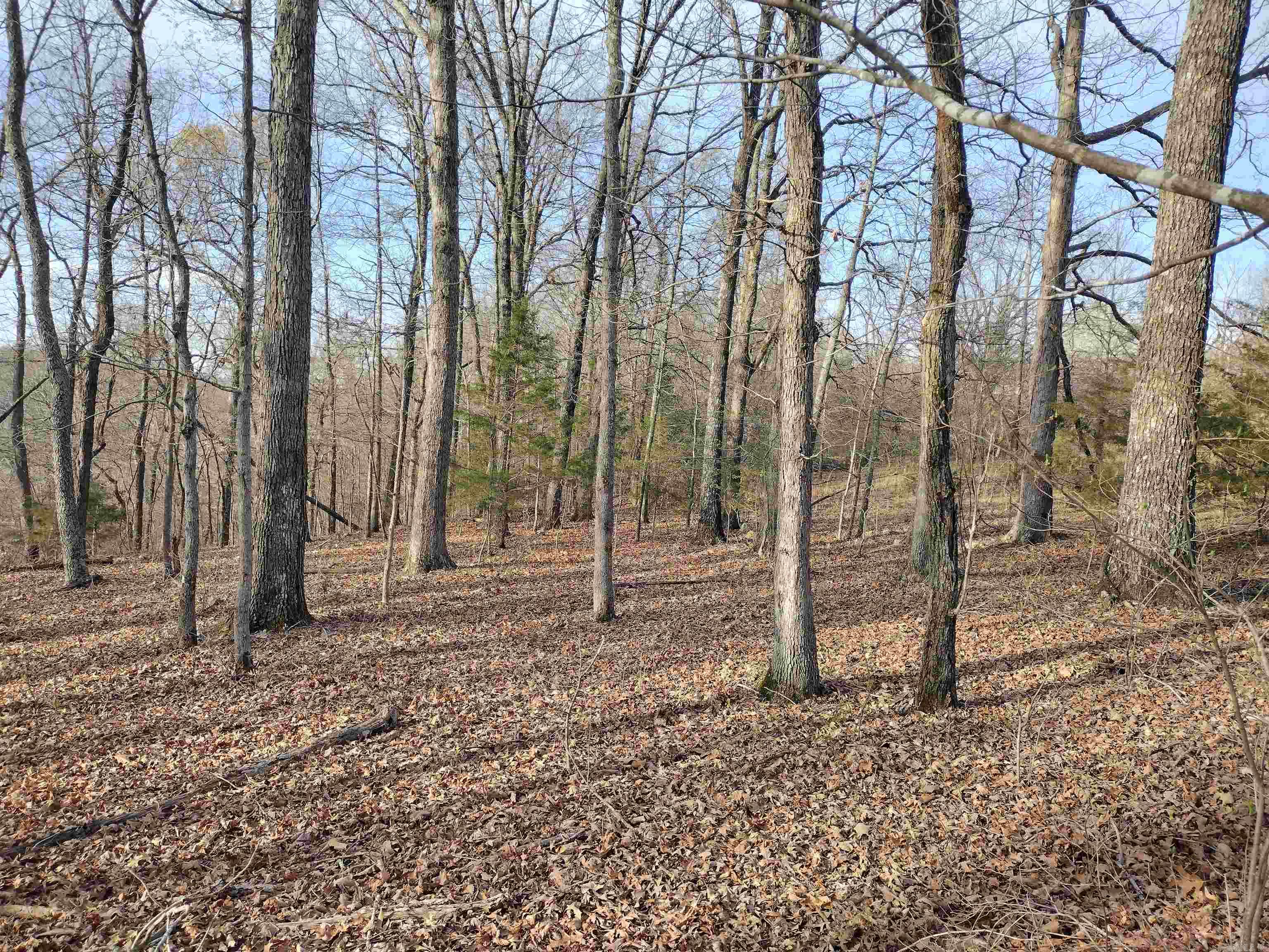 30121 Hwy 263 N Property Photo 38