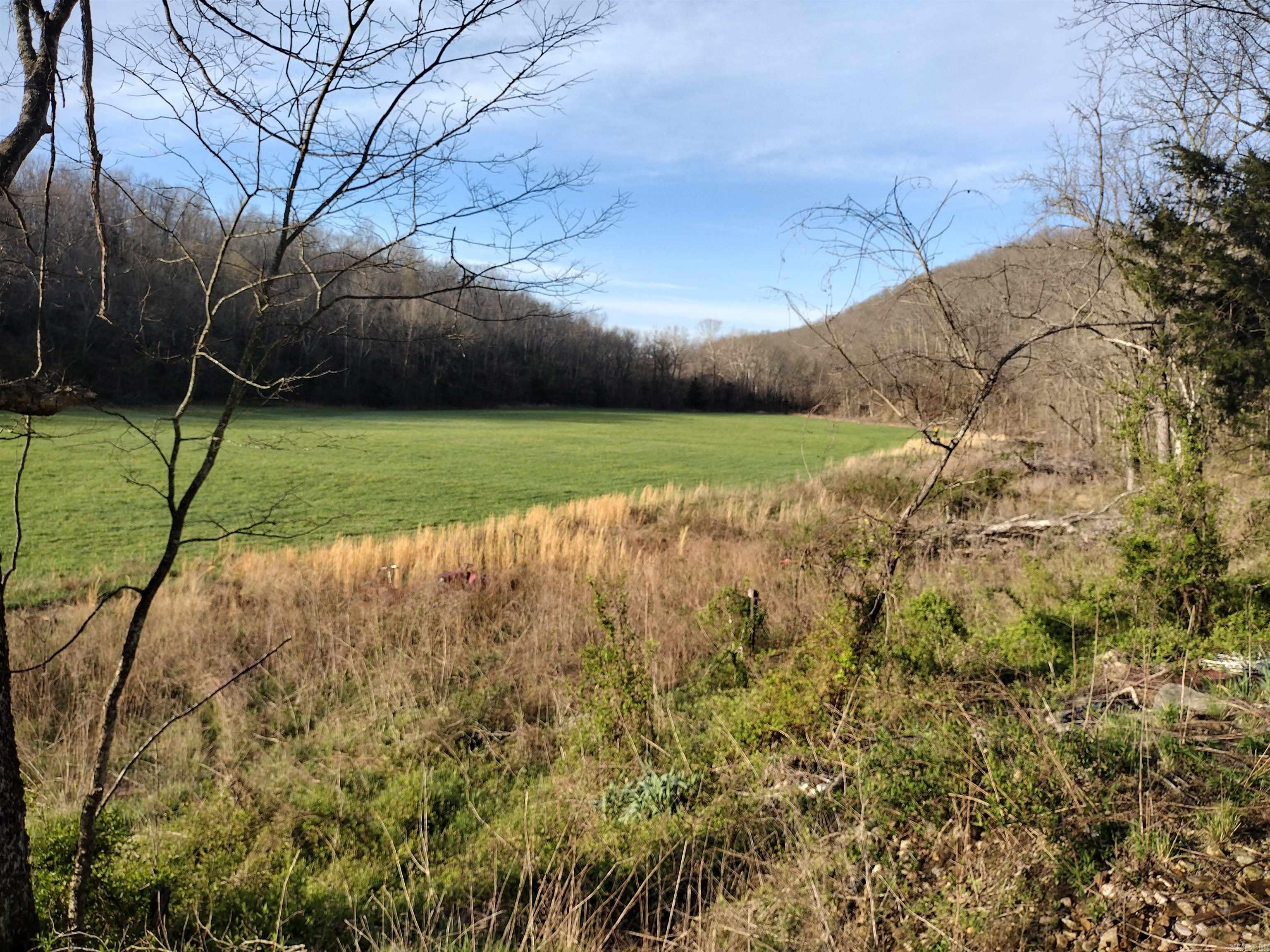 30121 Hwy 263 N Property Photo 39