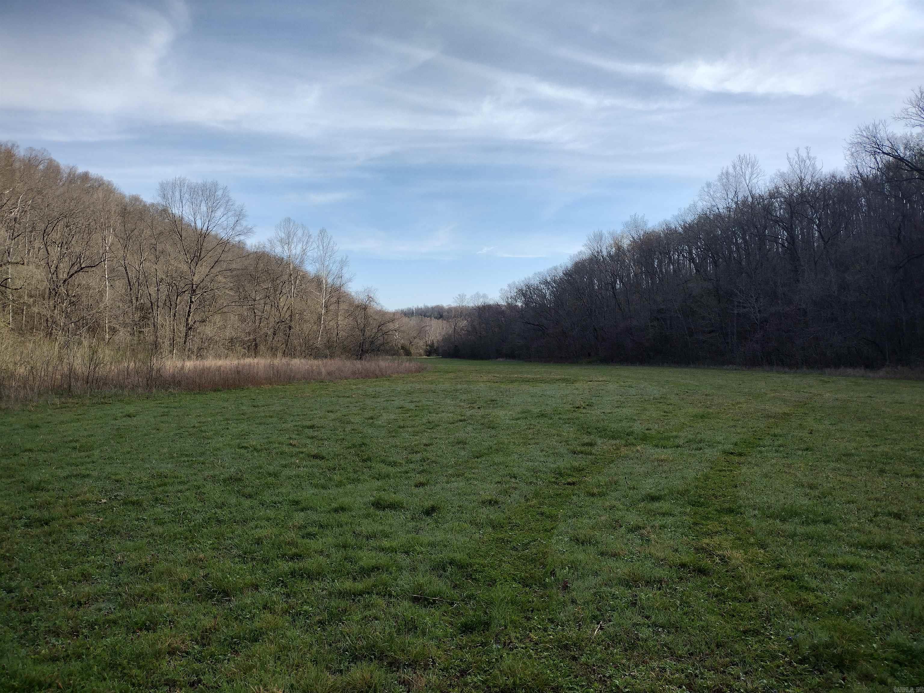 30121 Hwy 263 N Property Photo 40