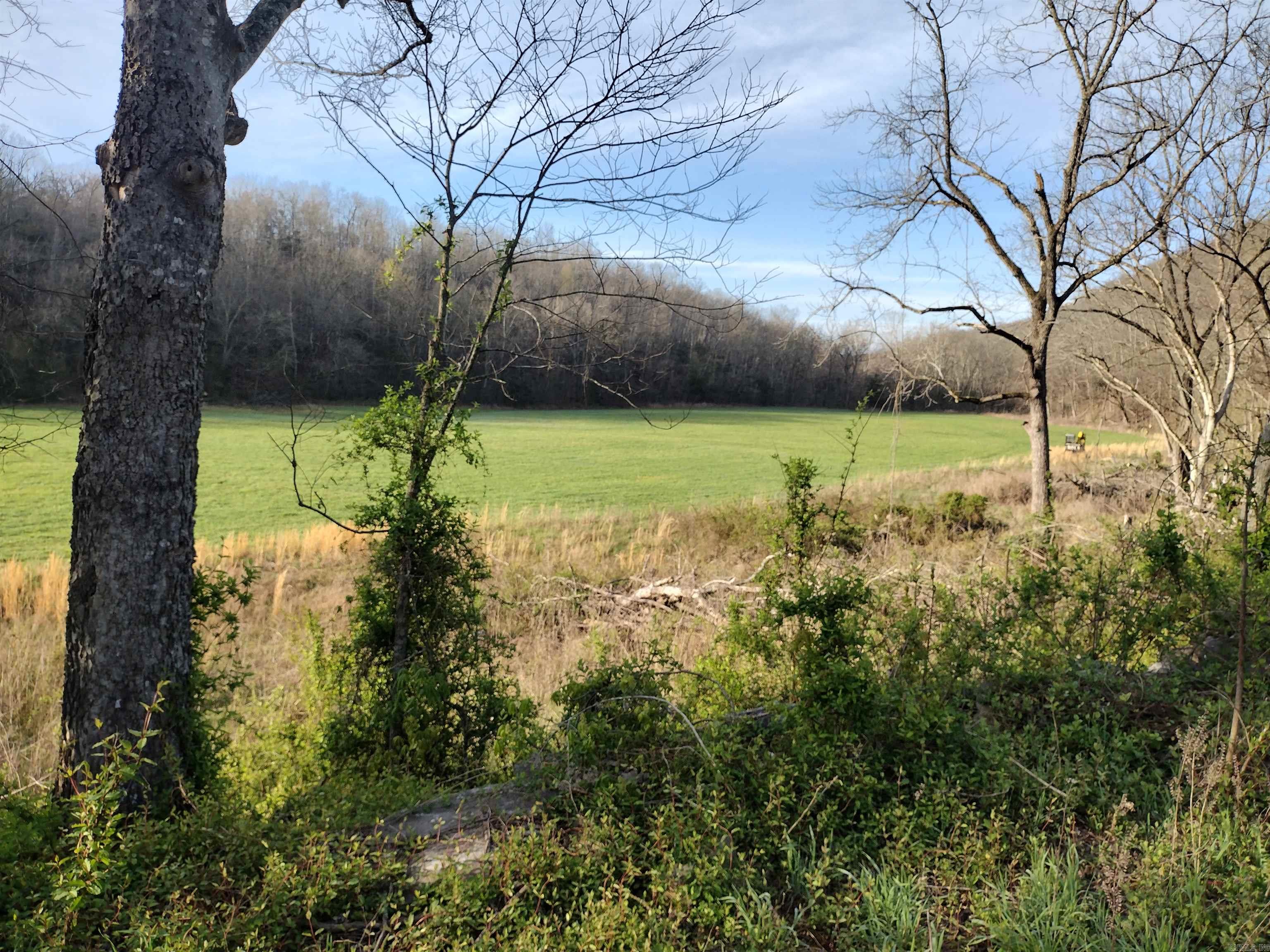 30121 Hwy 263 N Property Photo 41