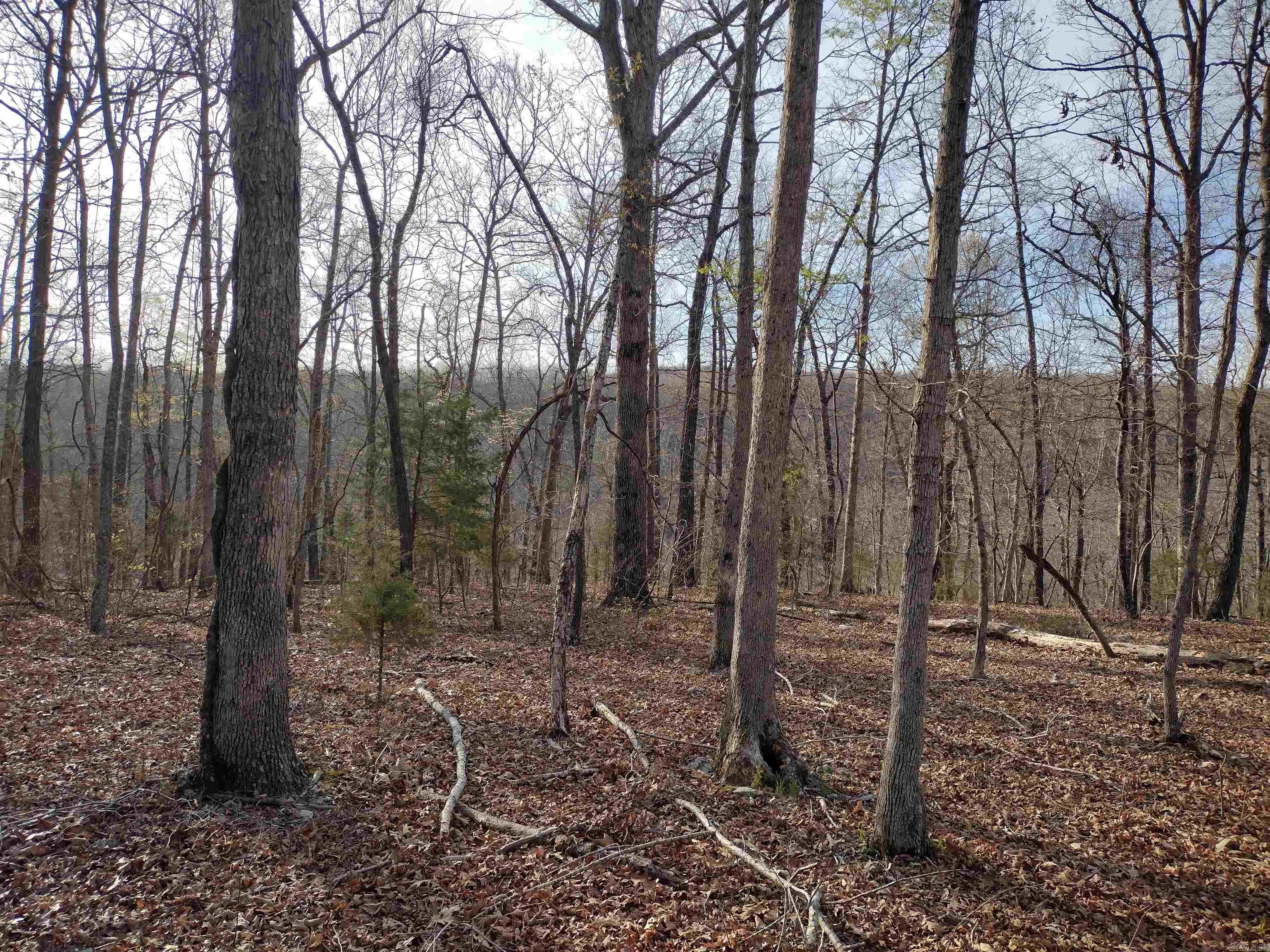 30121 Hwy 263 N Property Photo 42